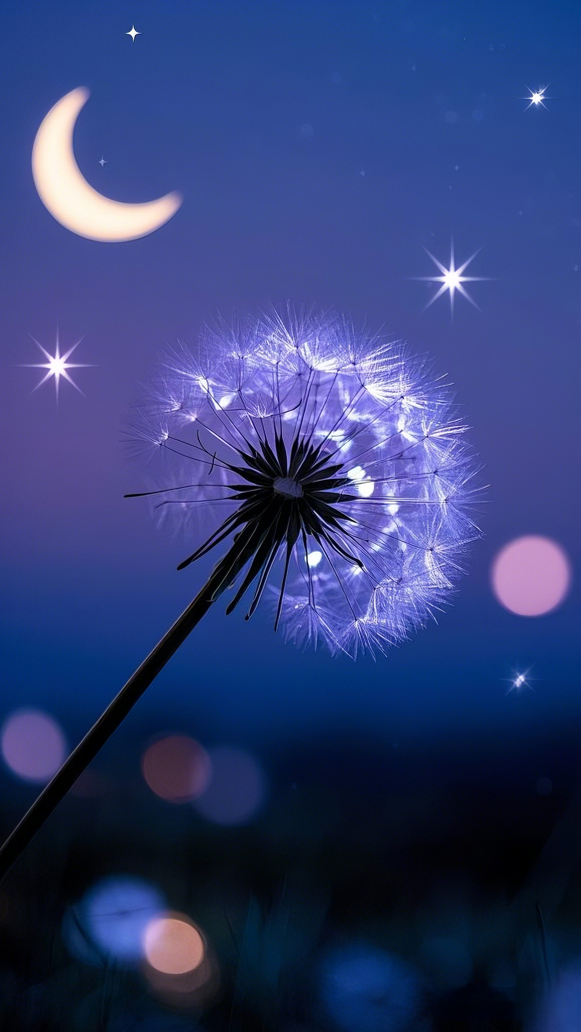 蒲公英系列手机壁纸