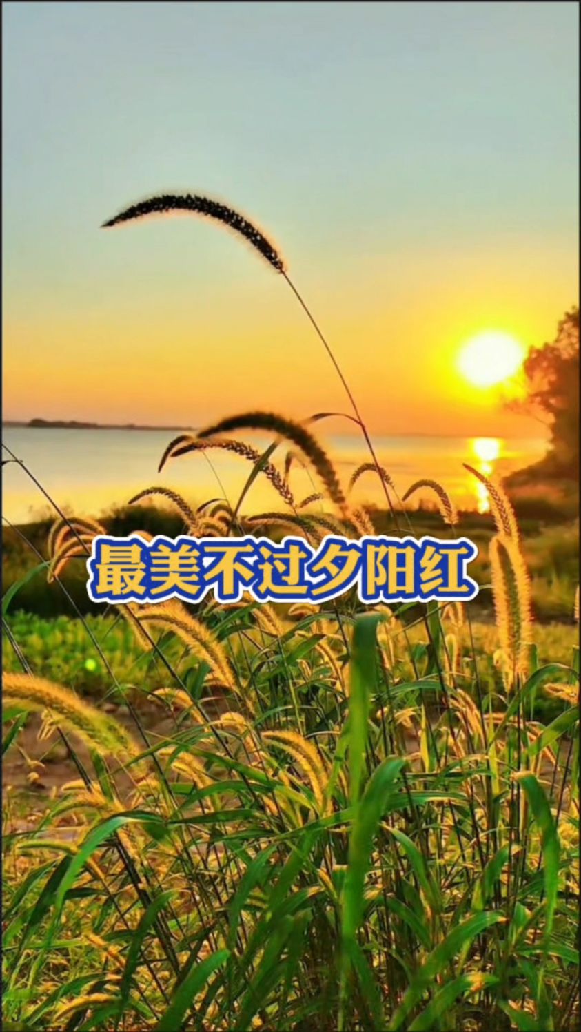 最美还是夕阳红