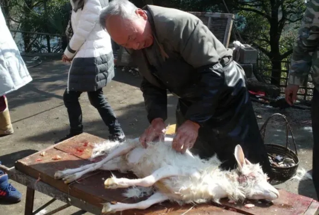 每次回家都要杀猪宰羊.逢年过节就更不用说了