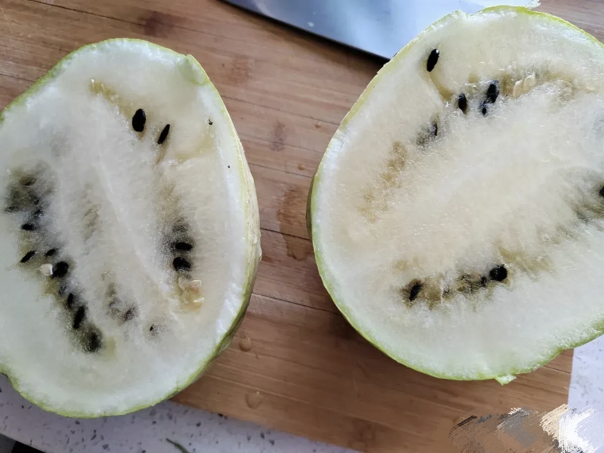 今天在兰州雁滩买了个西瓜,拿回去切开发现是生的