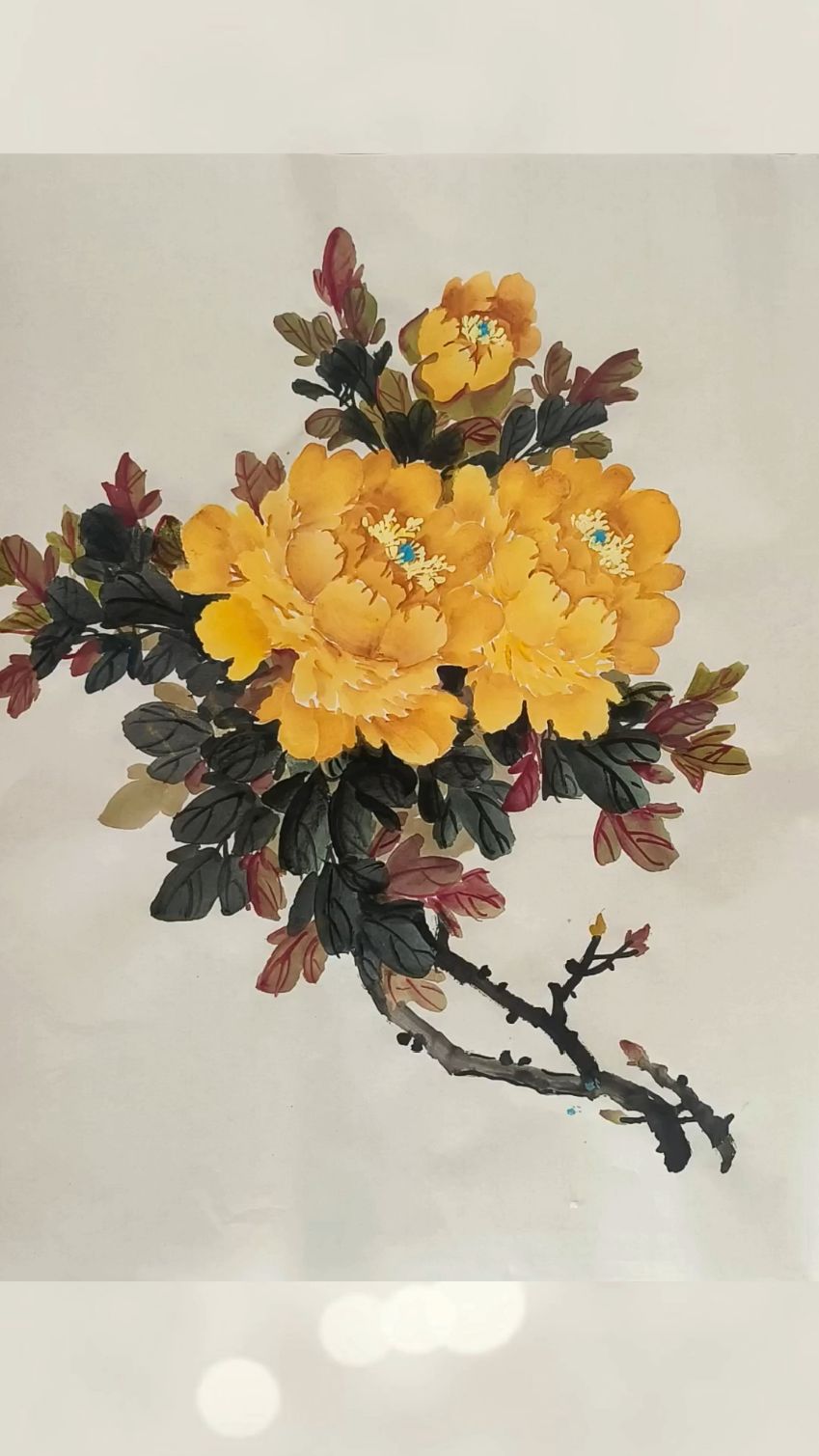 写意国画牡丹《姚黄生金》