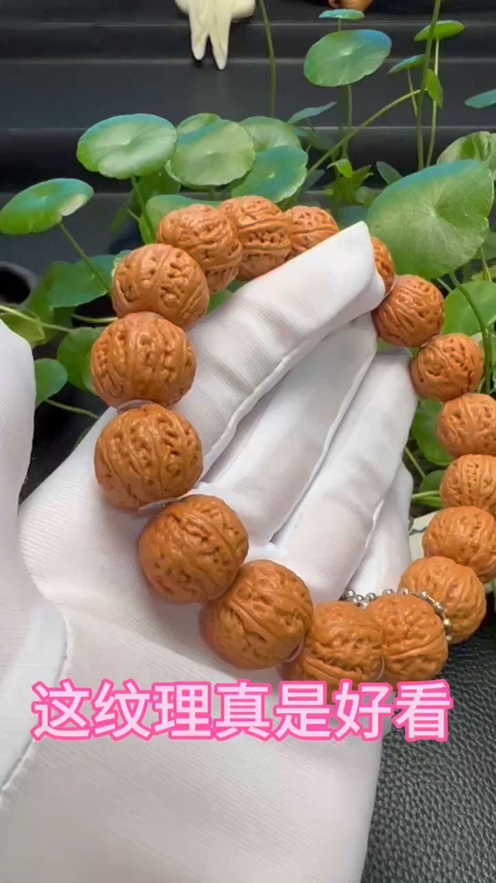 蚂蚁纹野生的小秋子,真是不多