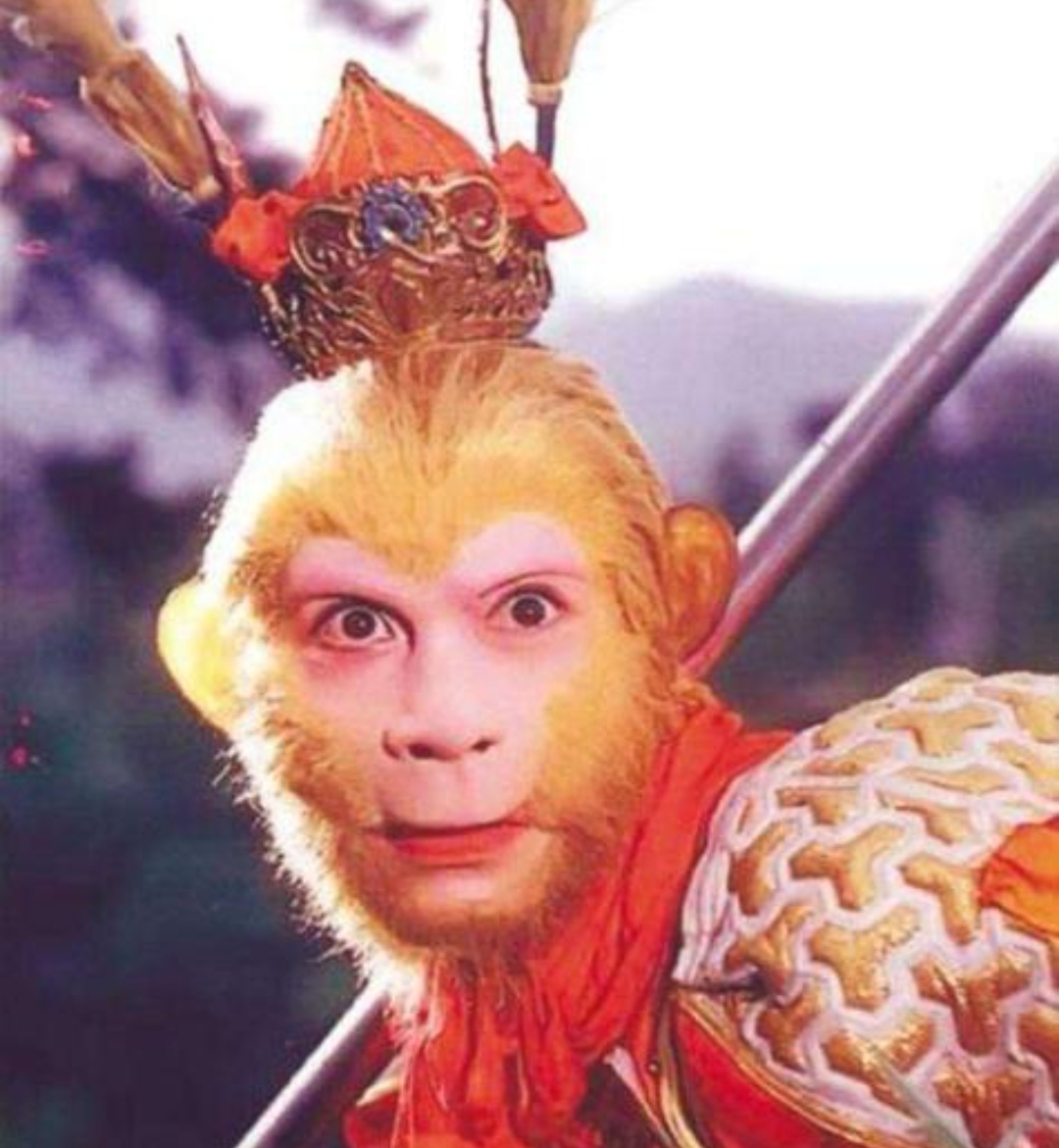 孙悟空的原型,真的是金丝猴