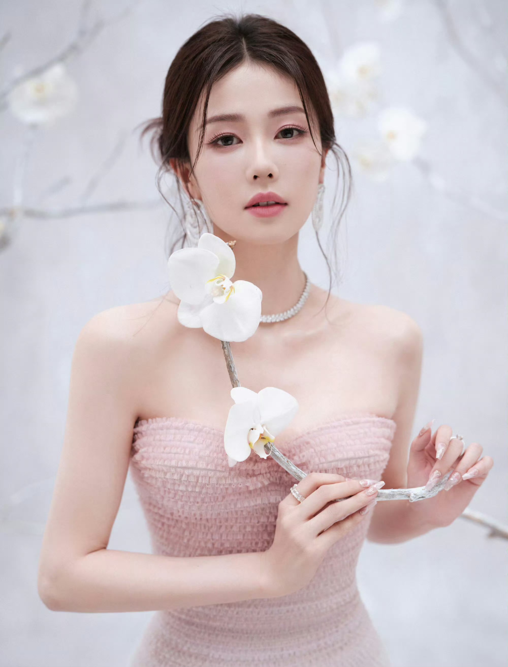 白鹿今日尖叫之夜出图太美了