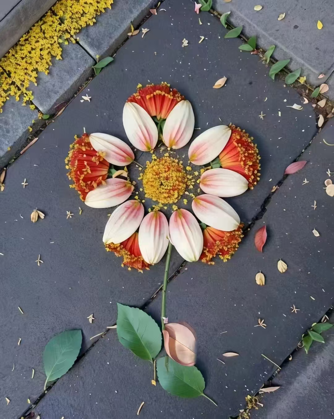婚姻沉默症