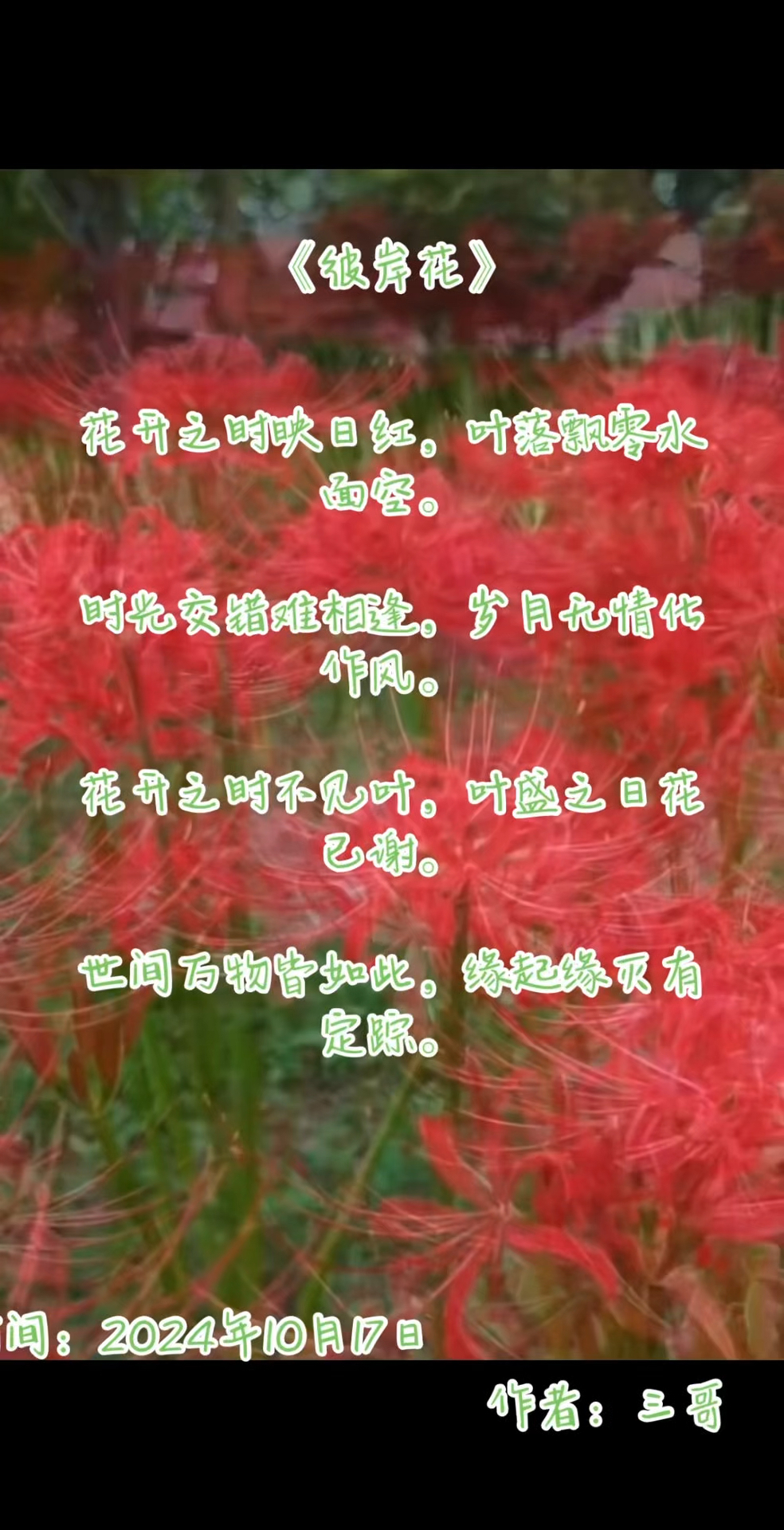 现代诗词彼岸花》