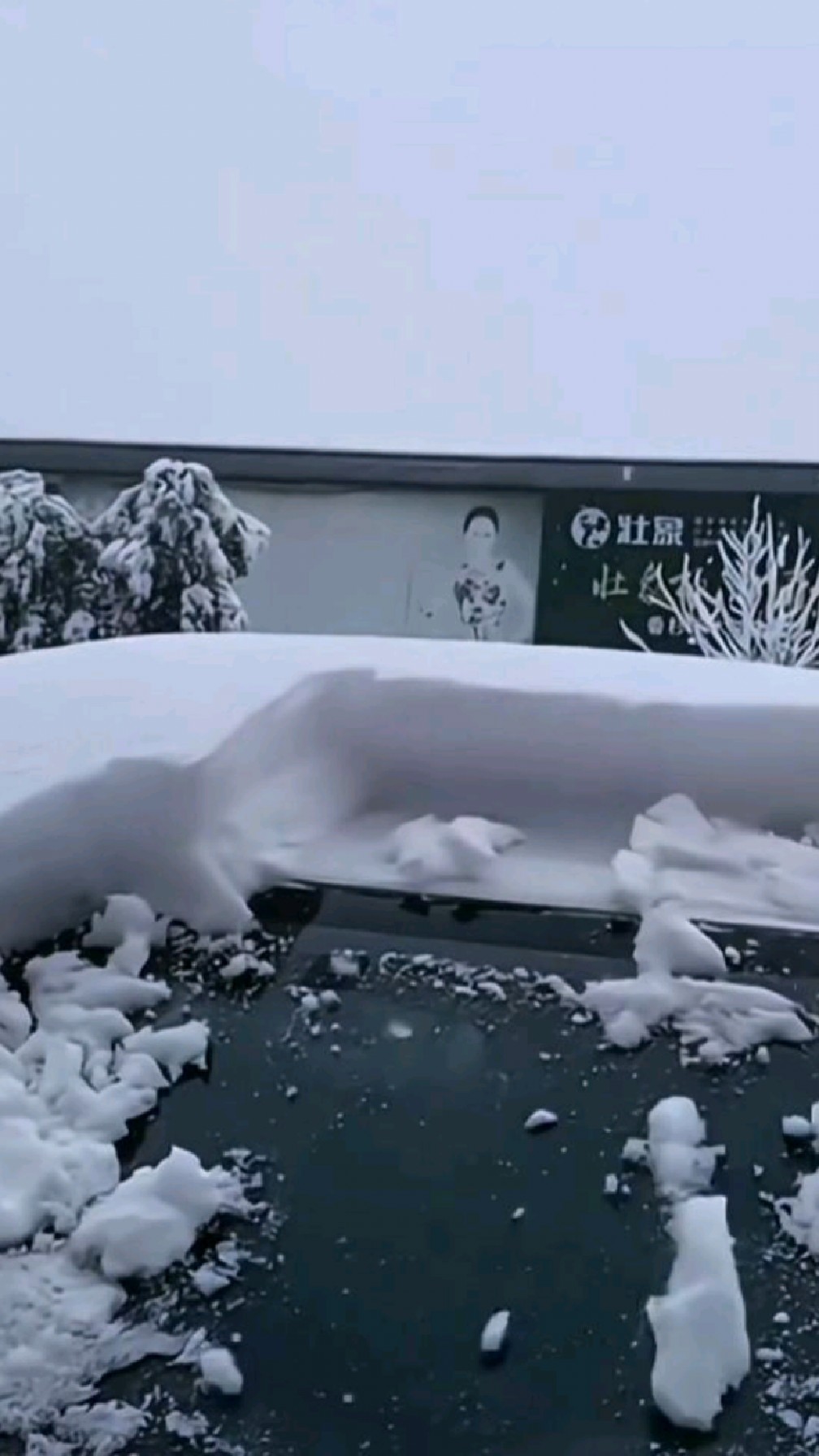 阳光房房顶下雪咋除雪图片