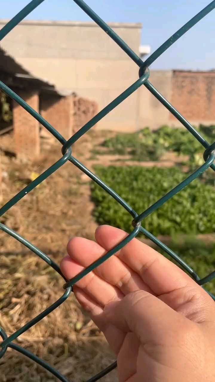 别墅庭院菜园子围栏网安装效果