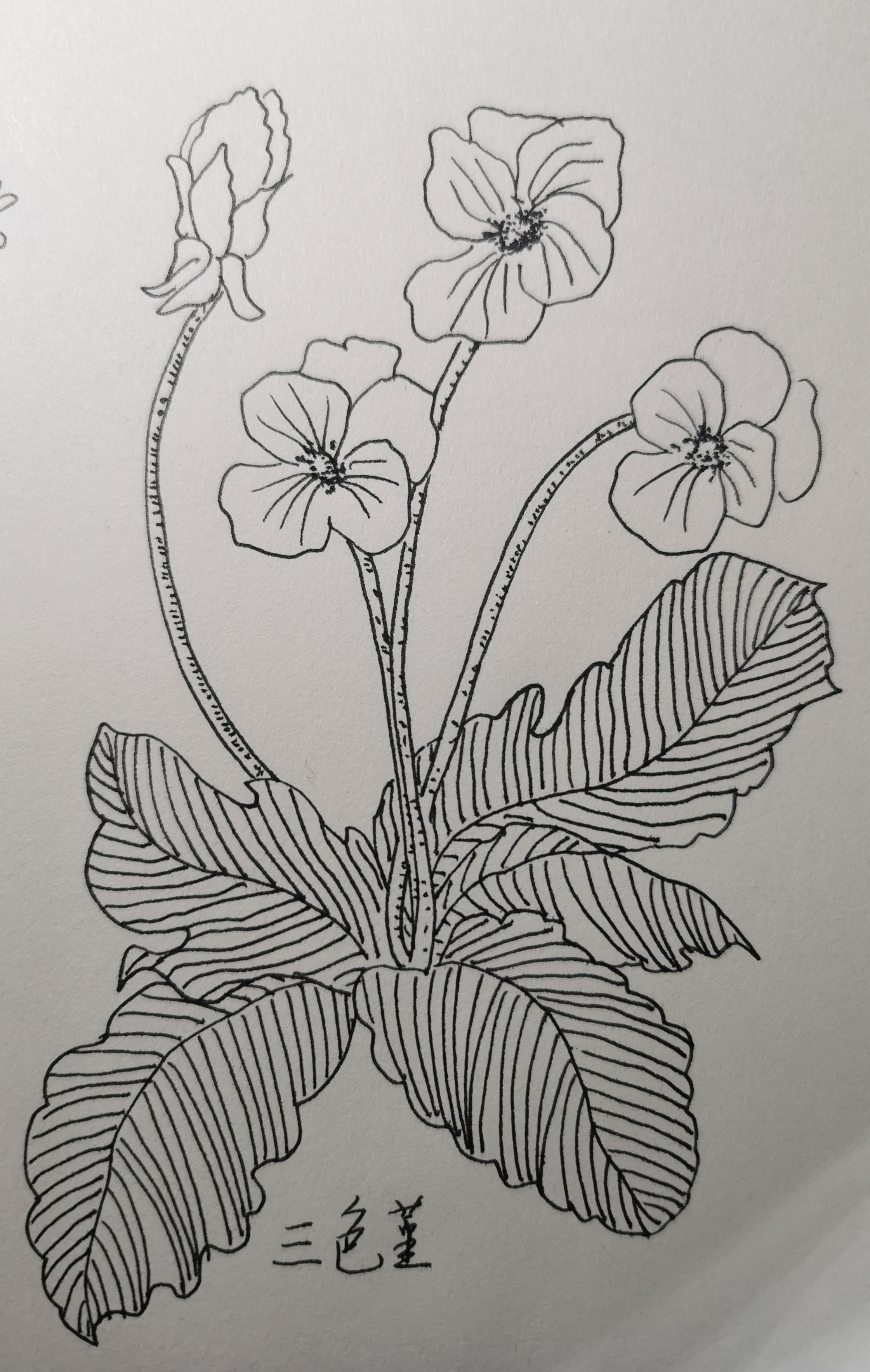 宗旨就是说,每个人都是独特的,唯一的,要为自己而自豪.