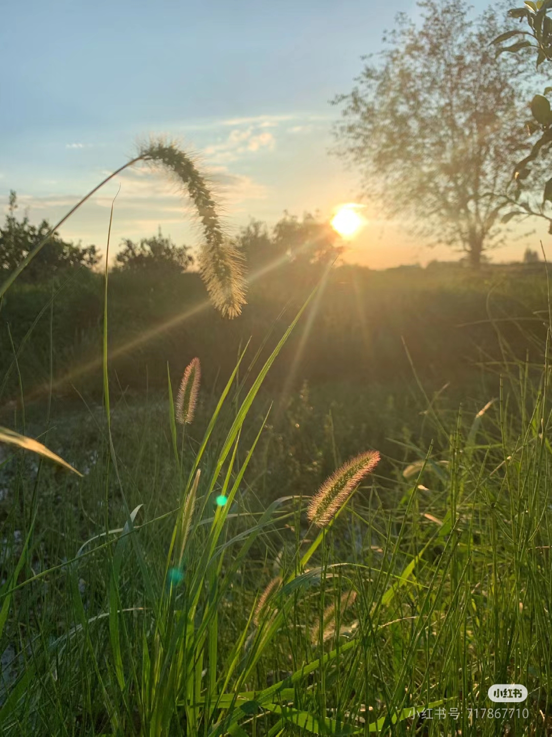 这绝 朝霞图片清晨的绝美图片大全朝霞图片高清图片大全早晨朝霞图片
