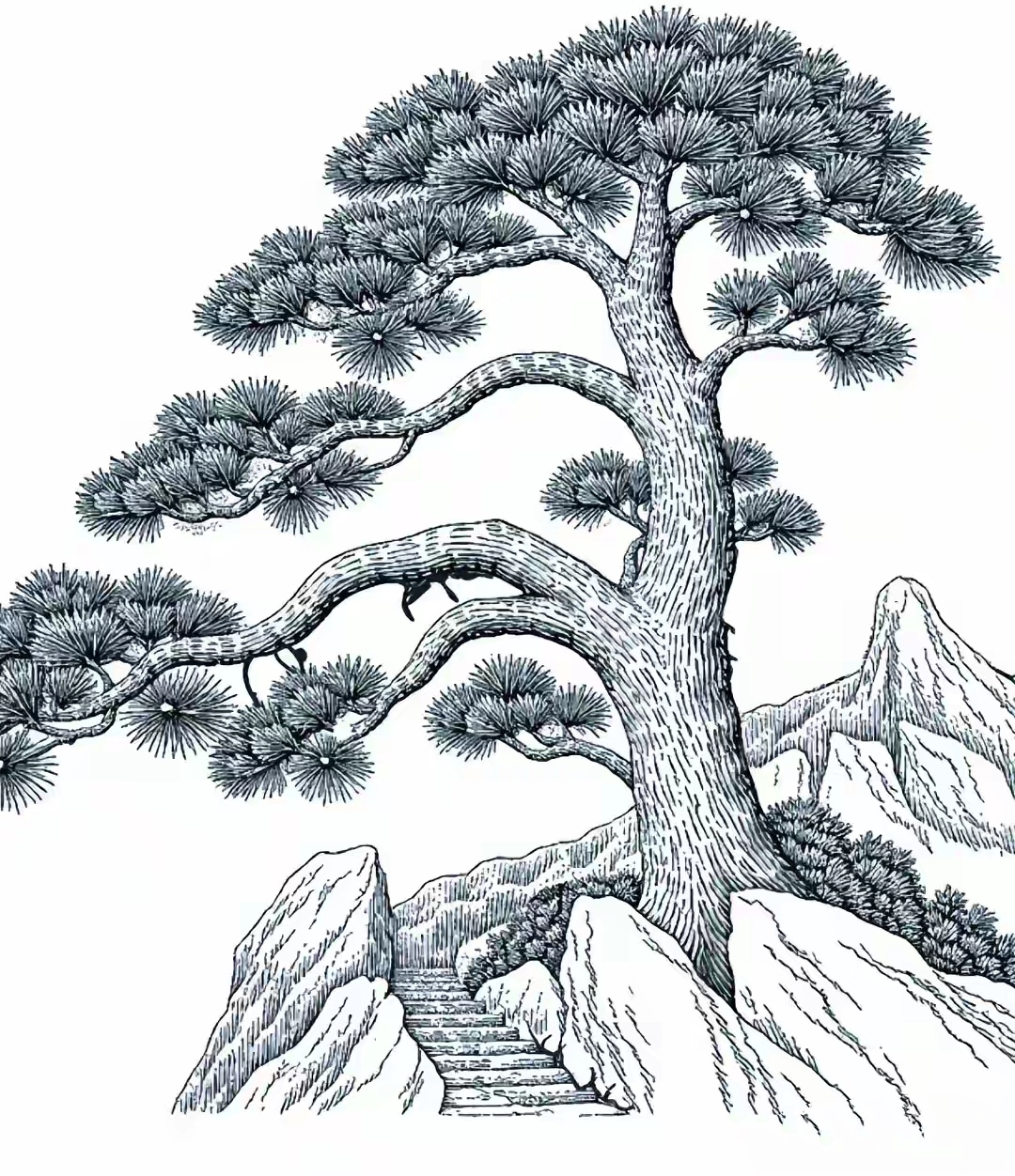黄山图片简笔画黄山风景简笔画迎客松简笔画儿童黄山手绘黄山松简笔画