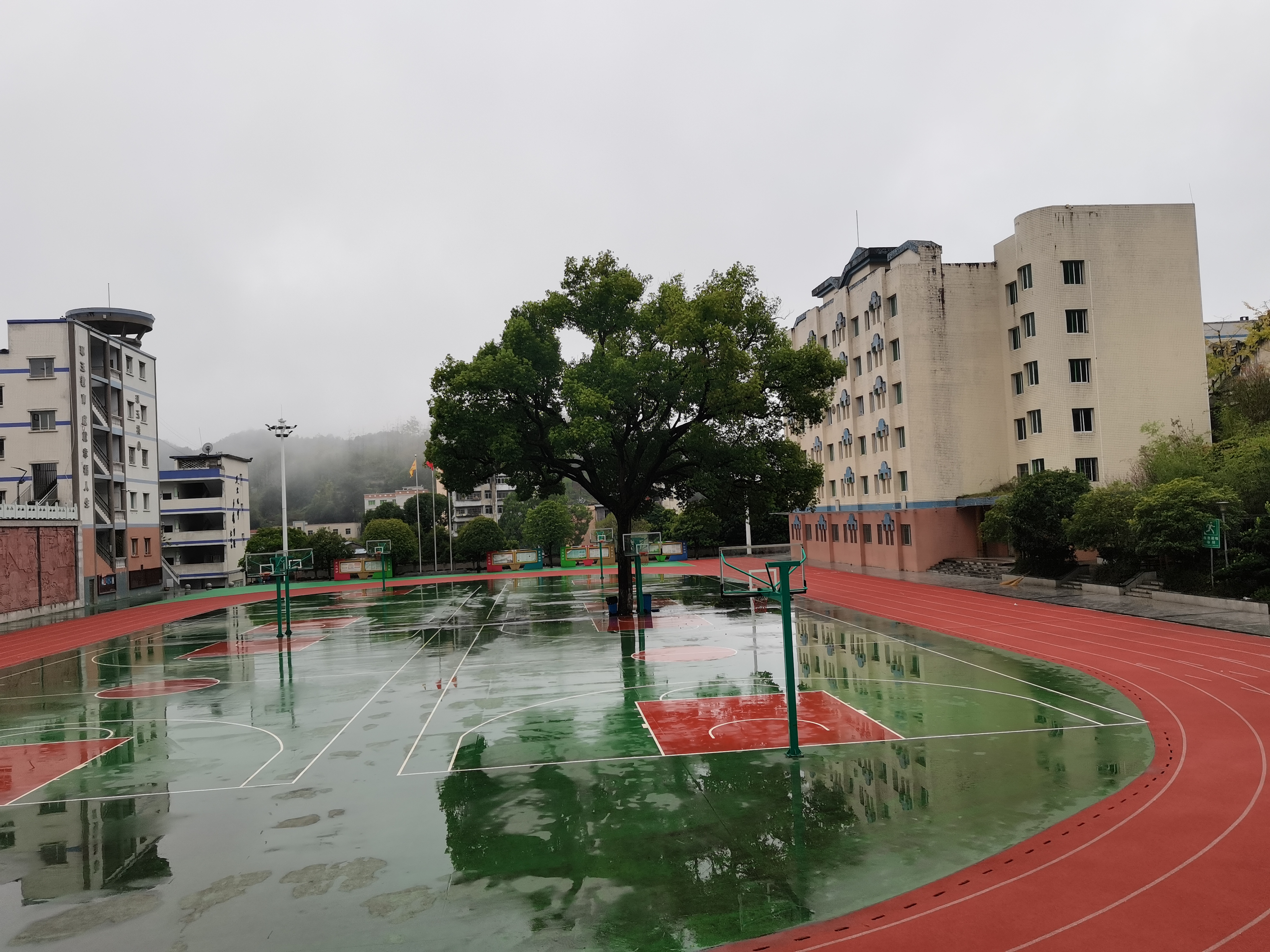 有温度的的学校要有"有温度"的环境,文化,书香,教育,管理,教师