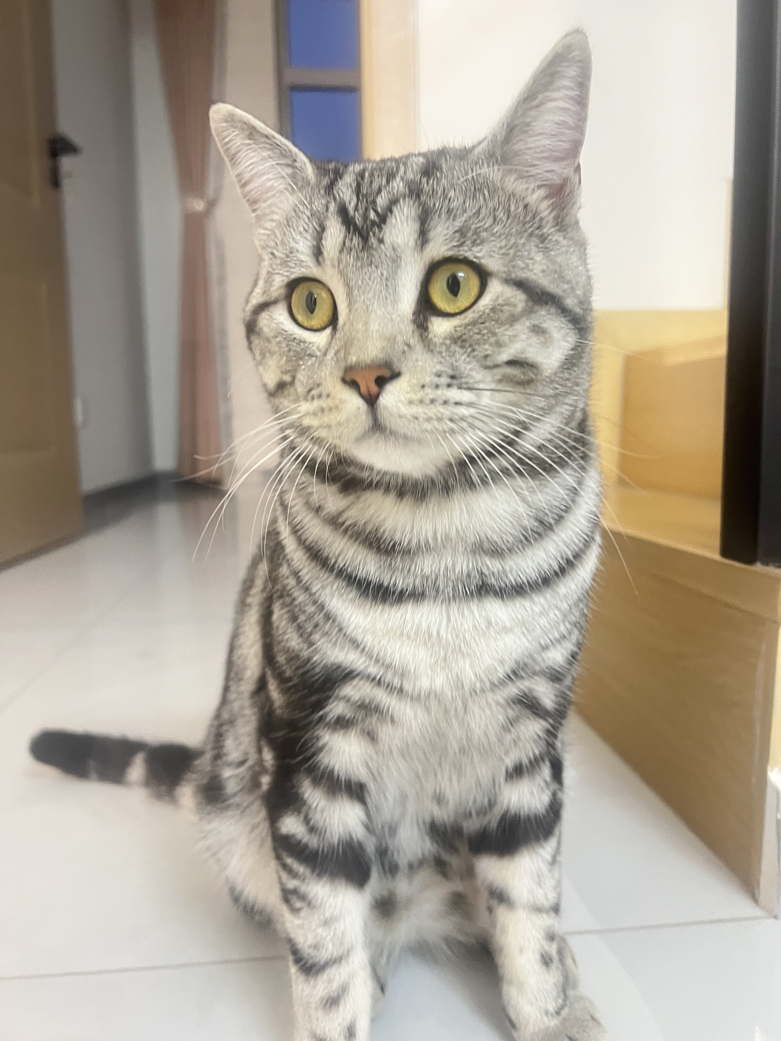 你,精神上你治愈着我, 每天匆匆而过,多是平常, 但有你给我猫大于6mb