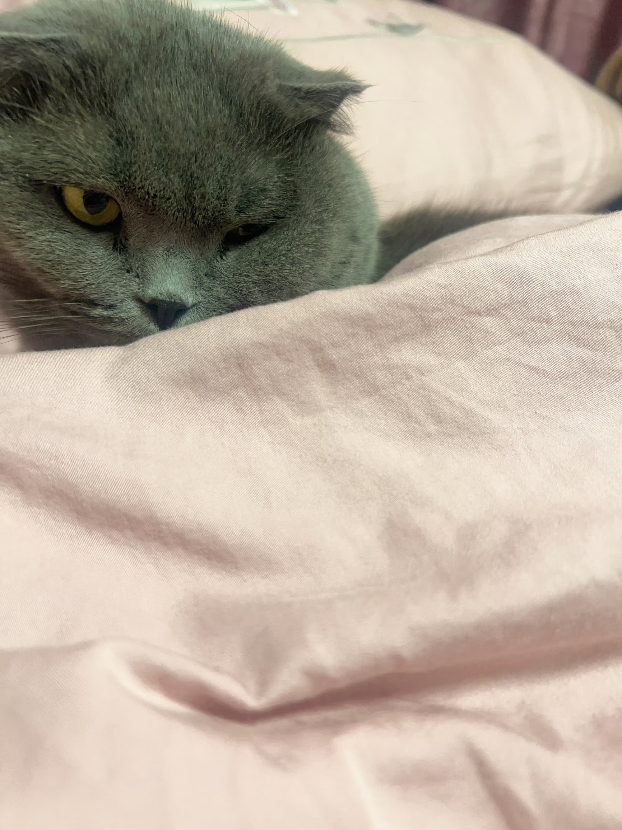 多啦蓝猫luckysurprise?让世界爱上中国造这是谁说的?明珠吗?