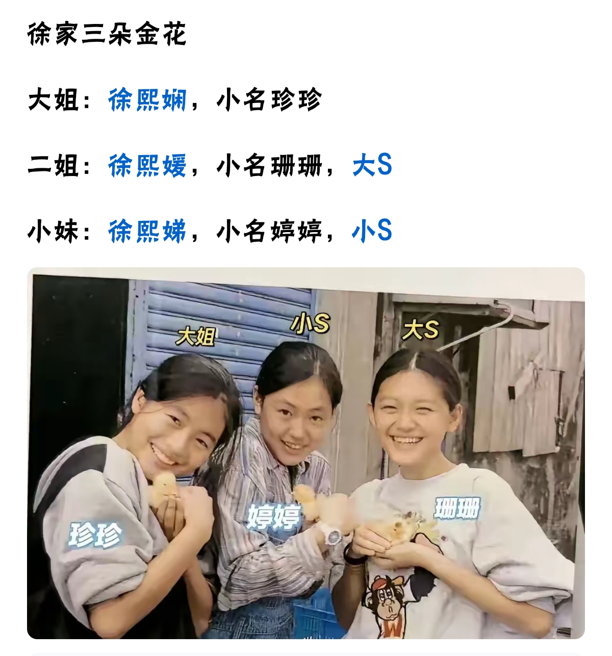 s家的三个女儿大女儿一看就是文静懂事的二女儿活泼开朗三女儿内向