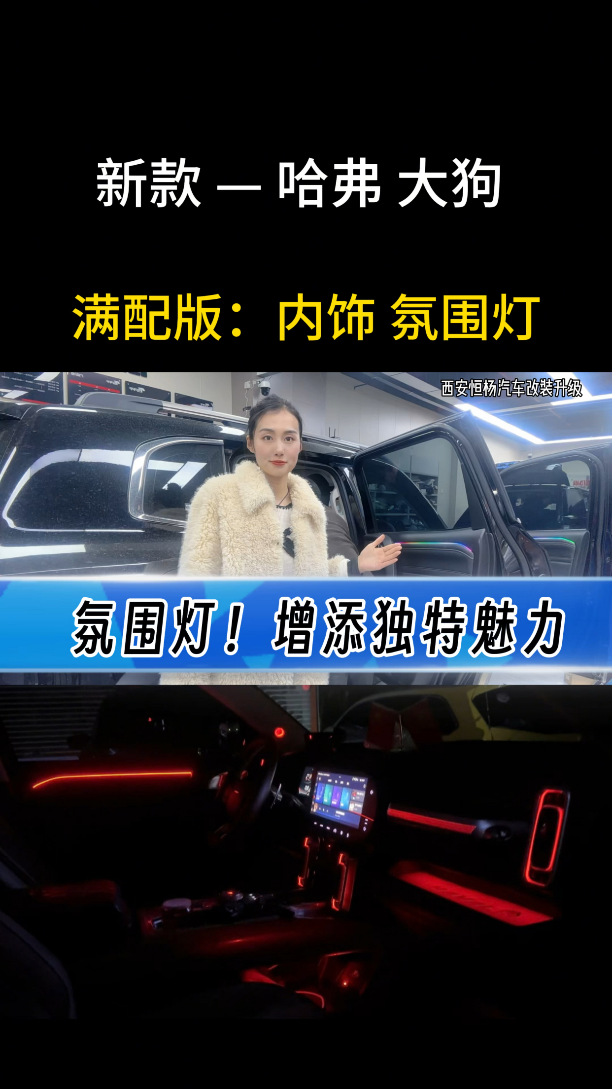 哈弗大狗#哈弗大狗我的潮玩新旅伴