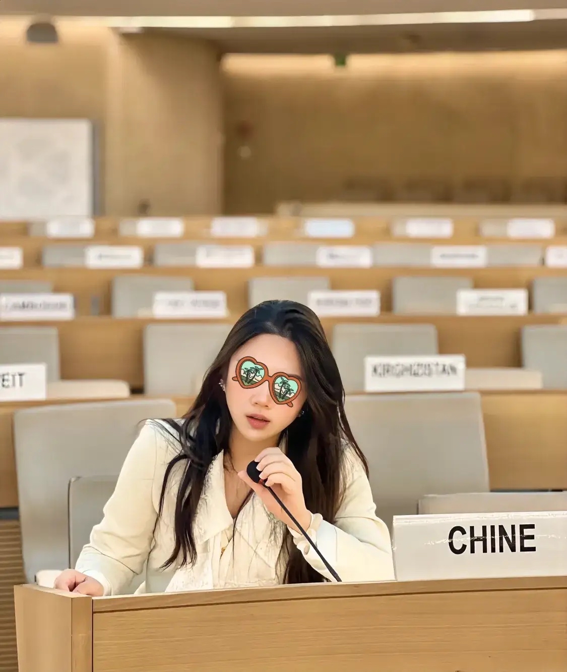 所以那些到联合国开会和领奖的 可能只是个付费拍照打卡旅