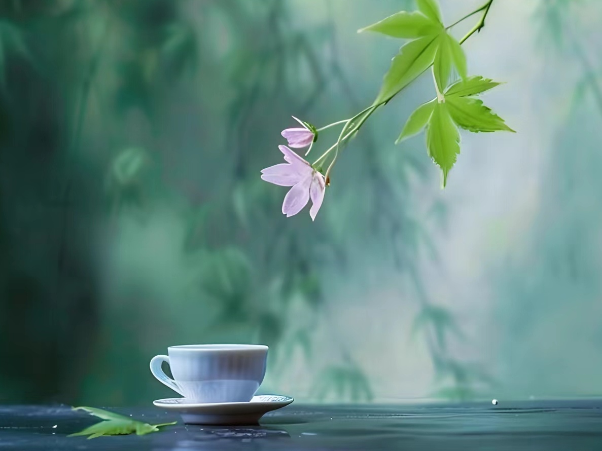 禅意让人静心的句子,句句经典走心!