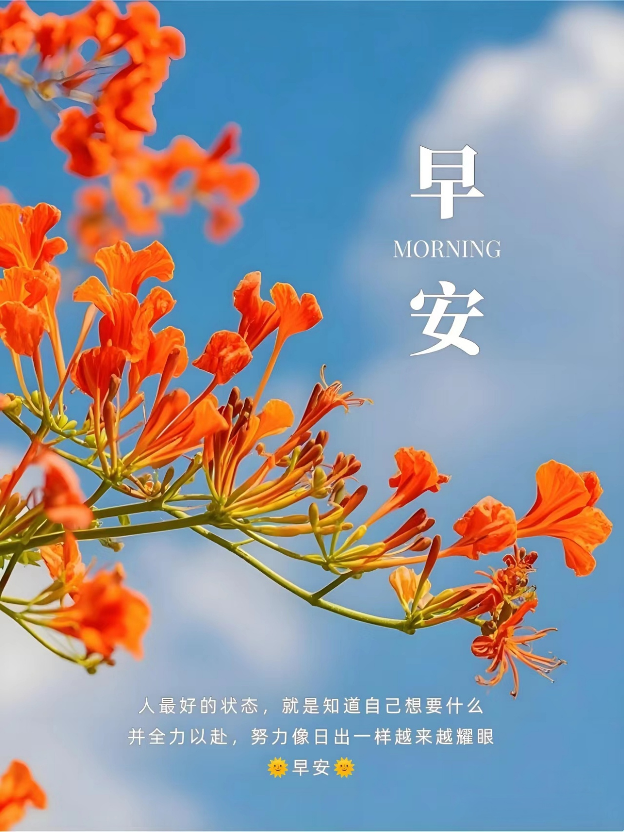 暖心治愈的早安问候语早上好,简短精辟!