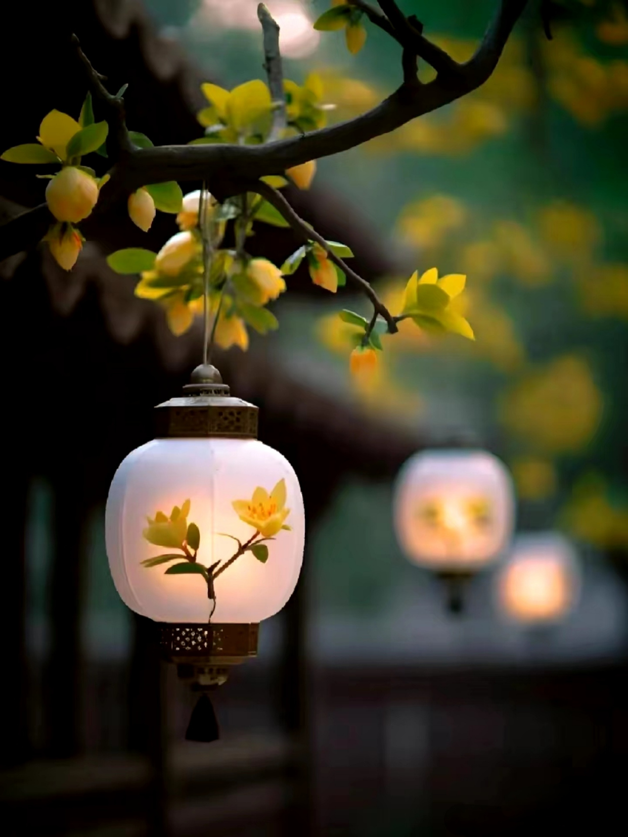 佛系禅语静心句子,干净治愈,道尽人生现实!