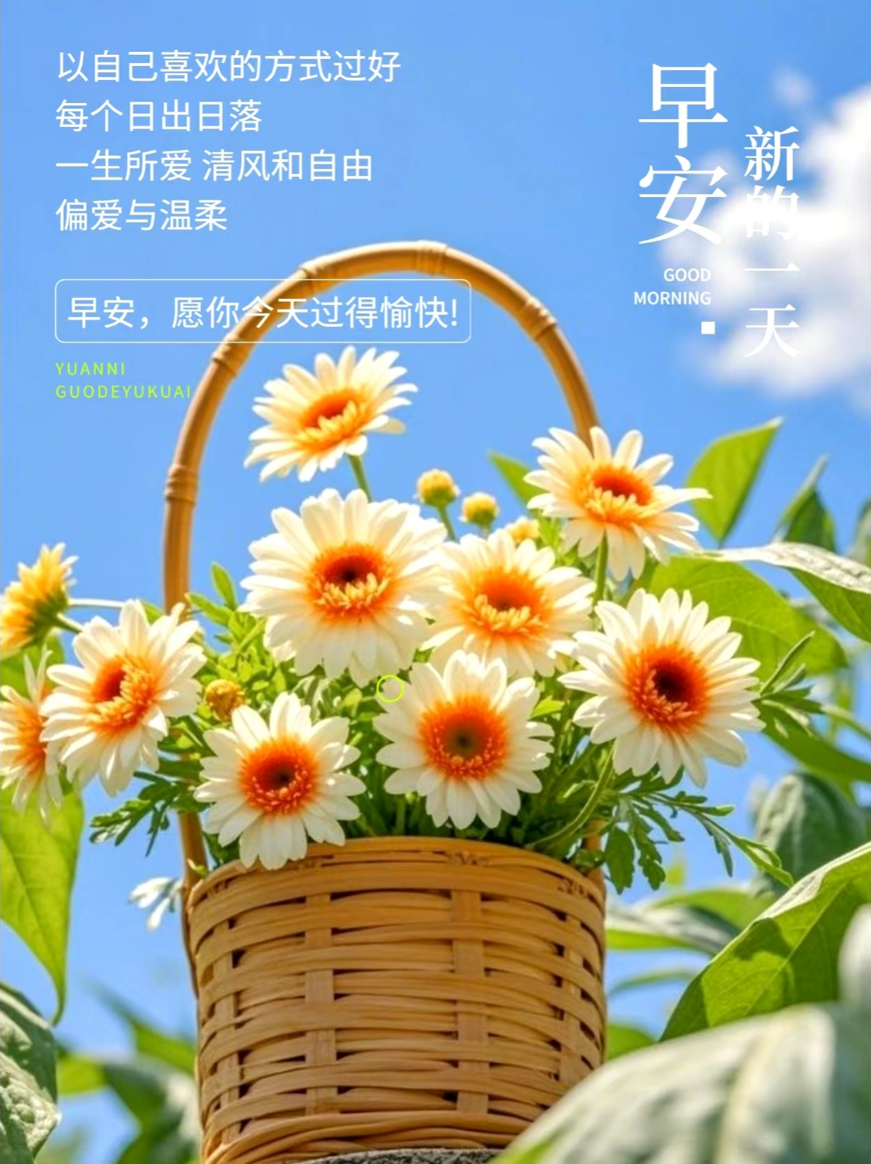 早安吉祥问候句子早上好暖心祝福语,愿你的每一天都充满阳光!
