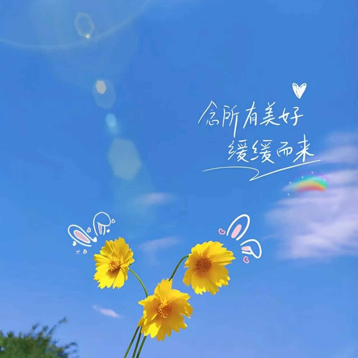 充满阳光的好心态句子,唯美治愈,打动人心!