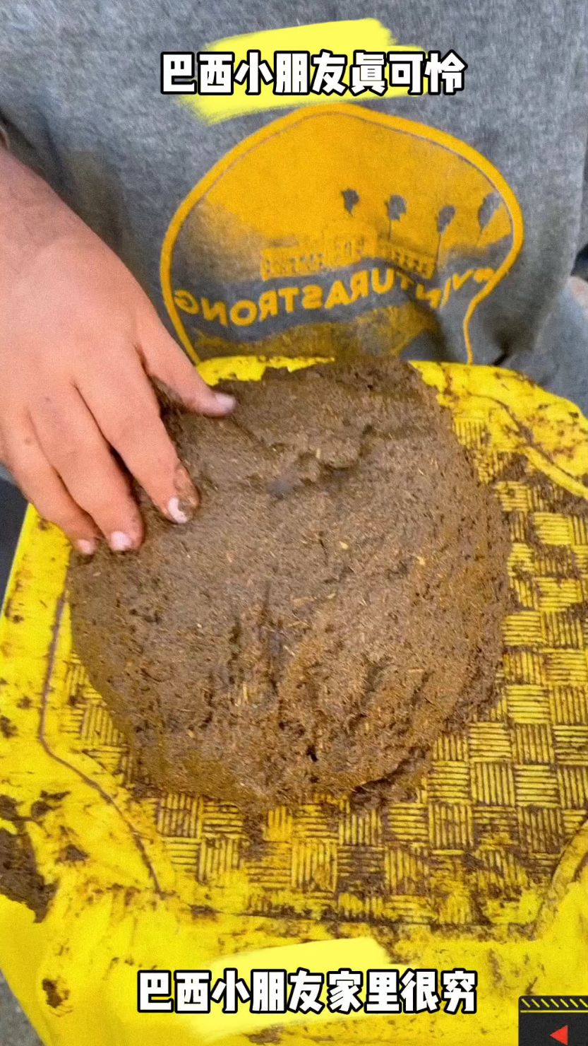 这是什么操作?把牛粪当做蛋糕吗?