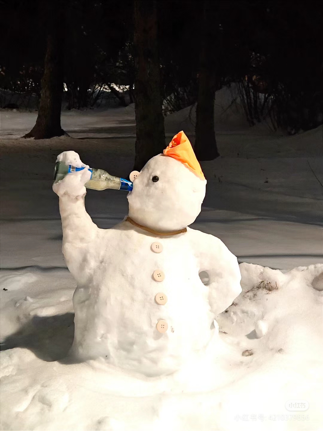 当雪花飘落,整个世界都变成了梦幻的白色王国