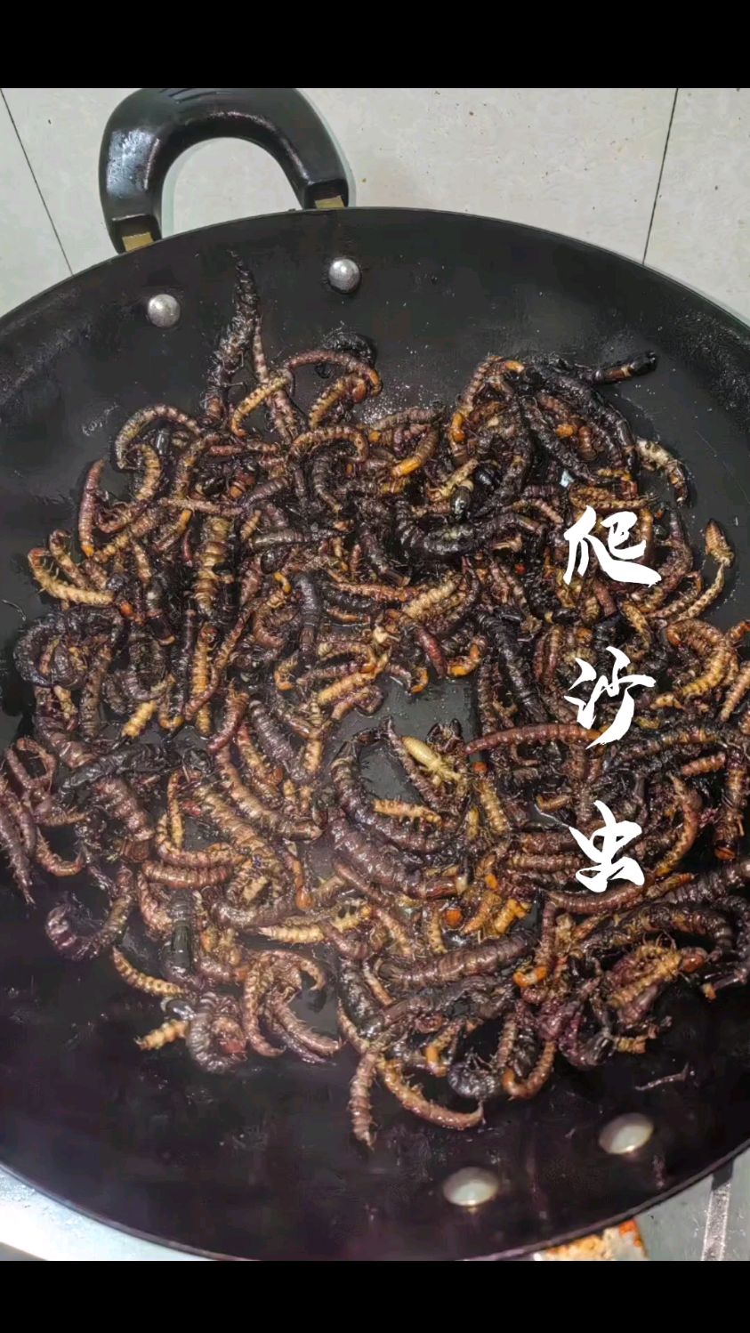 今年的水蜈蚣好肥美,简简单单够一餐就满足了