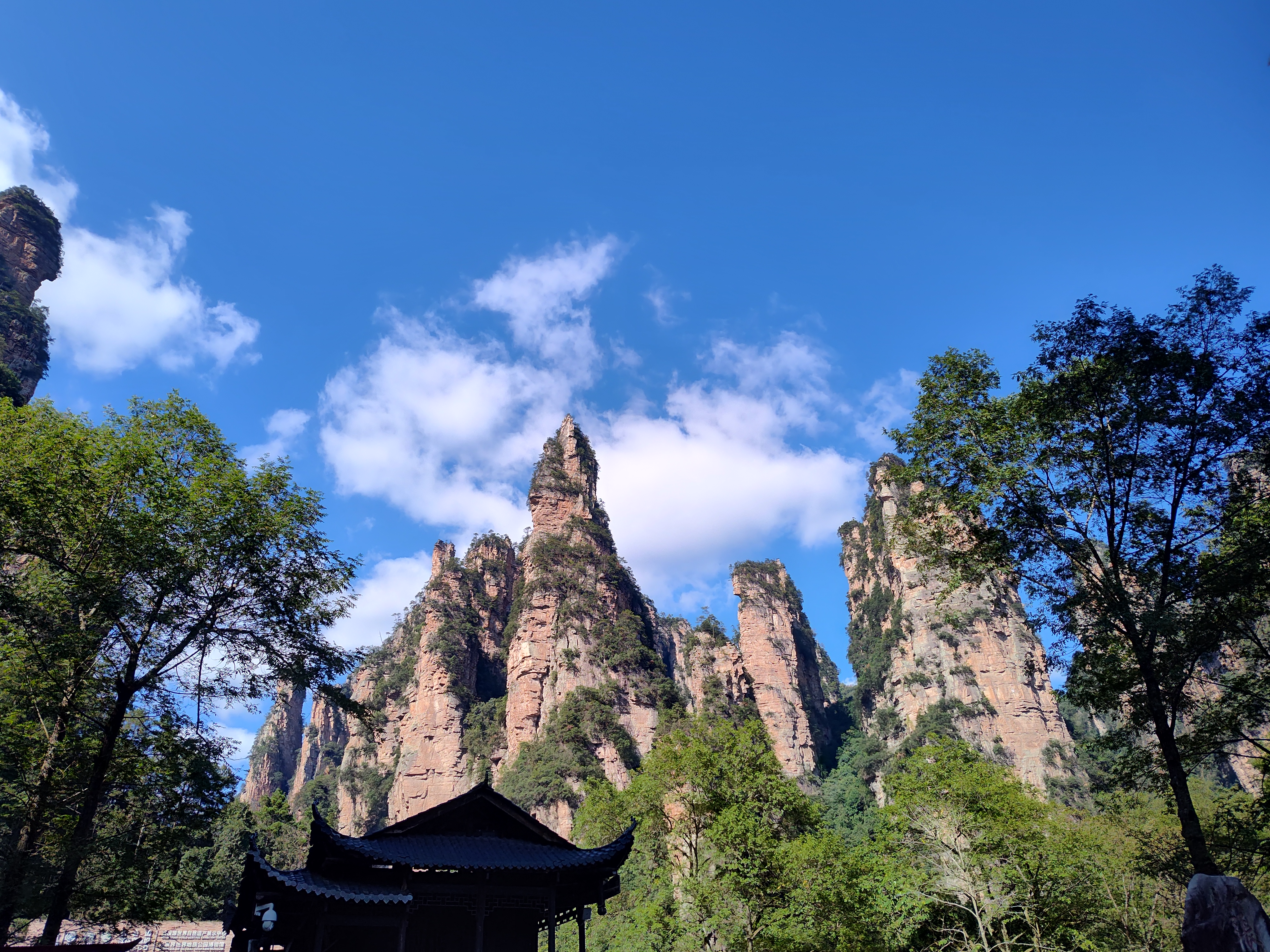 我最喜欢的就是旅游,由于爱好历史,地理,文学,哲学,摄影等等,初中毕业