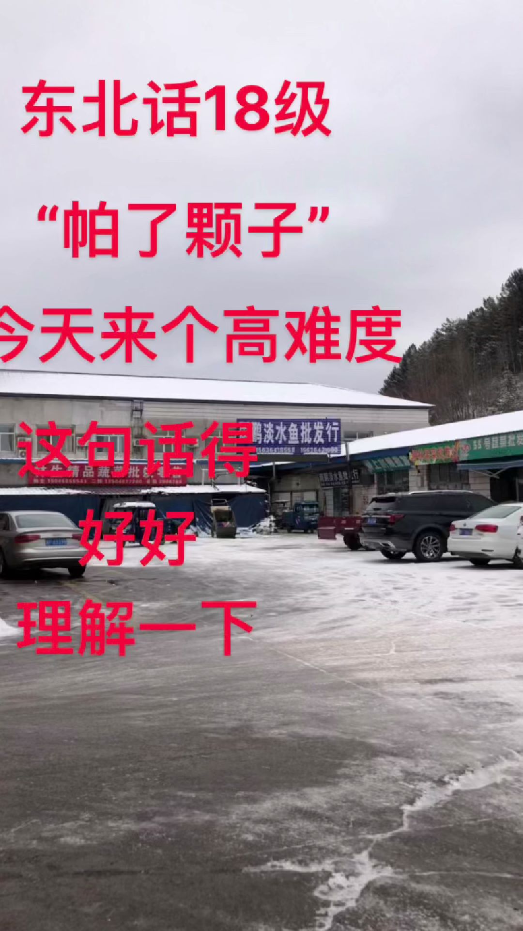 东北话扒了壳子,这可是高难度1般人不理解