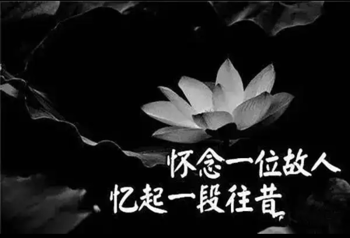 小农意识,精髓就是卷.一个个卷成冷漠的机器