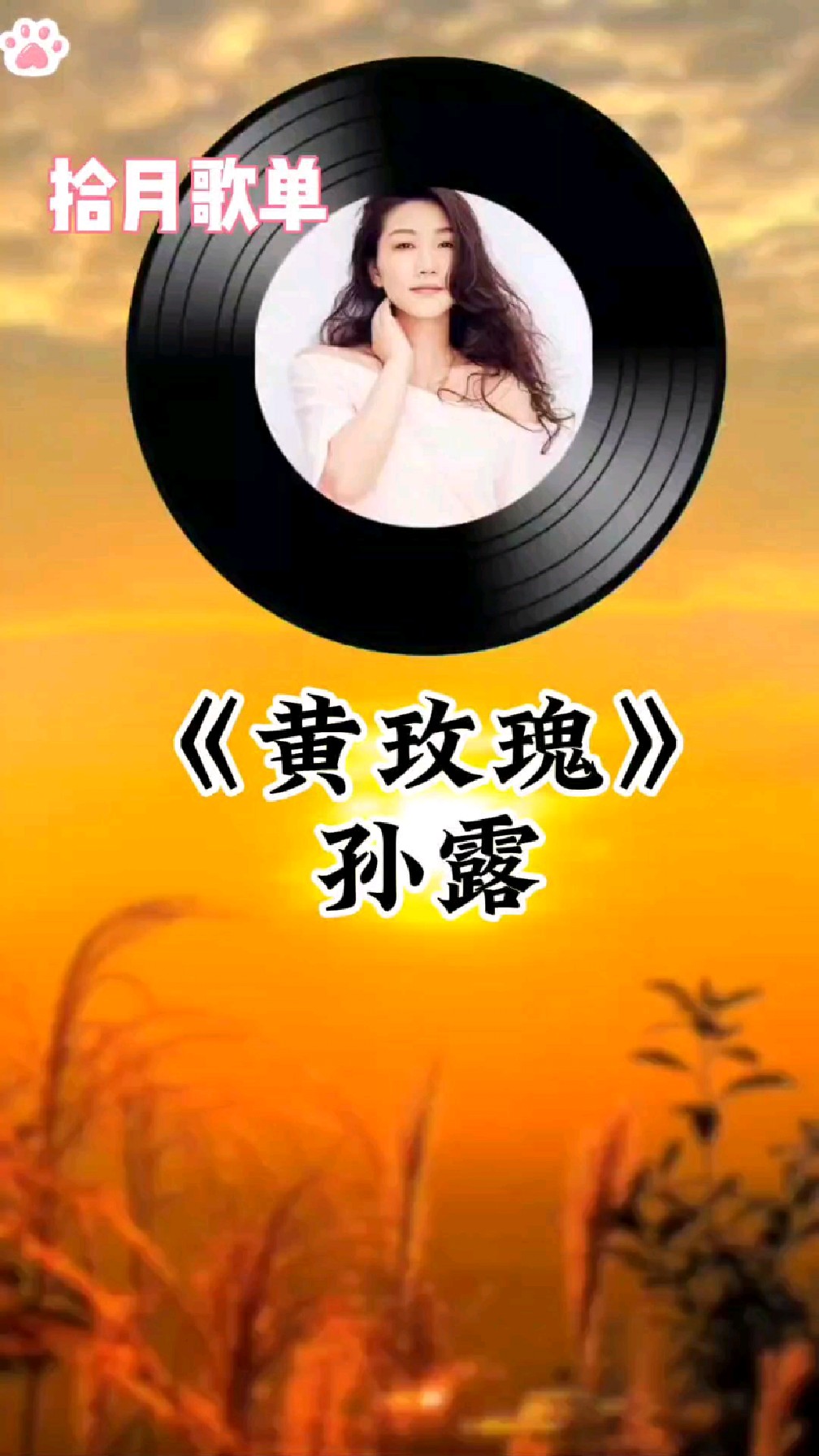 《黄玫瑰》##孙露