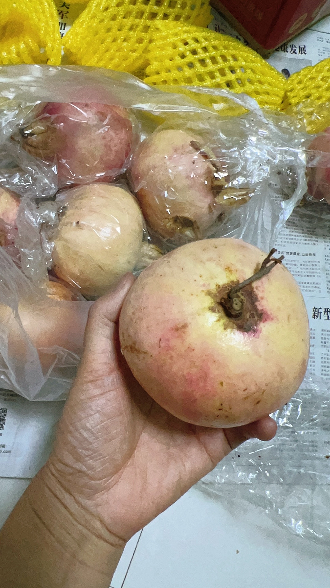 喜欢吃石榴的姐妹们,大家一定要注意了,最近网上卖的有一种图片上的