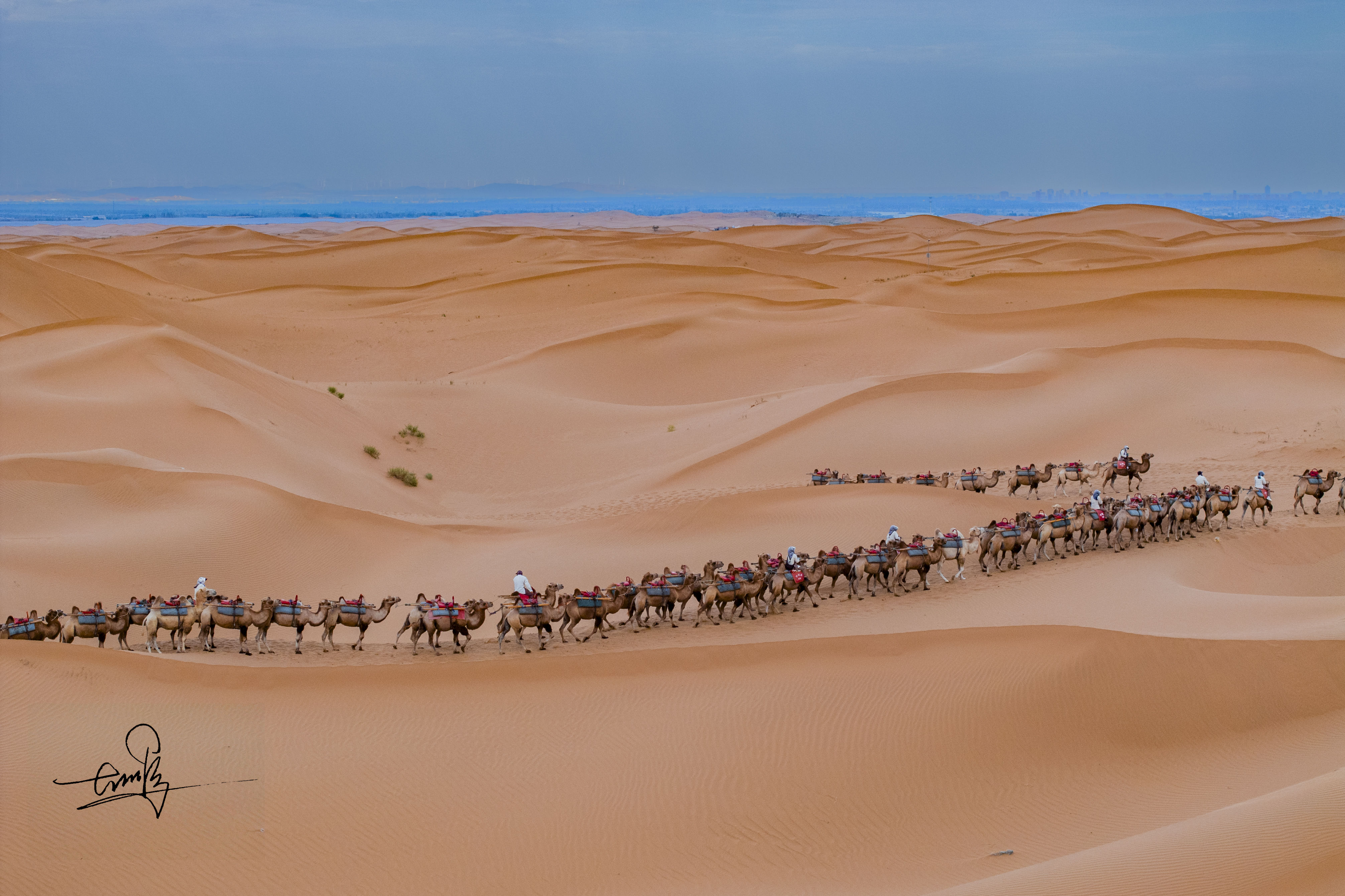 沙坡头最佳旅游季节图片