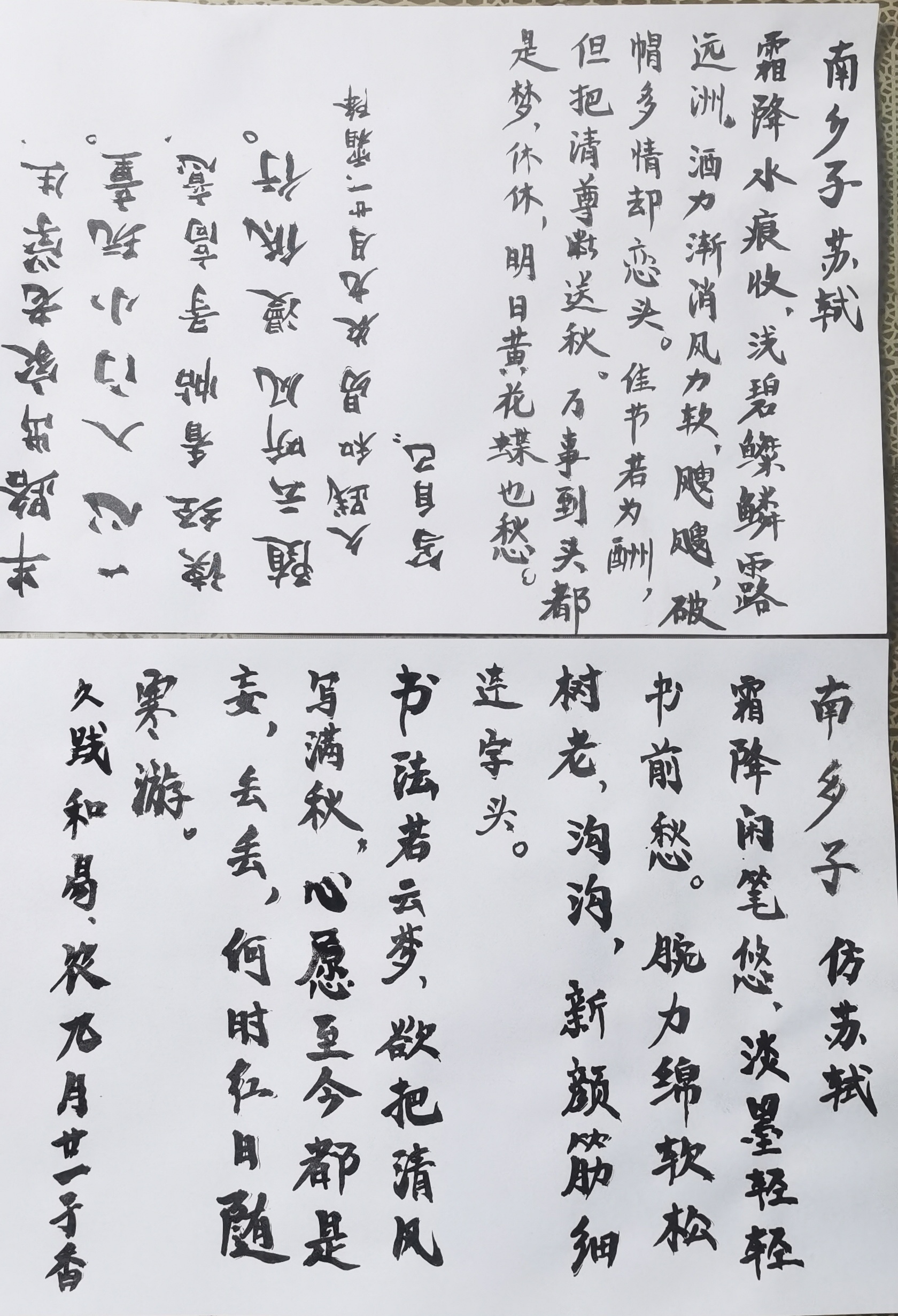 书法若云梦,欲把清风写满秋.心愿至今都是妄,丢丢,何时红日随寒游