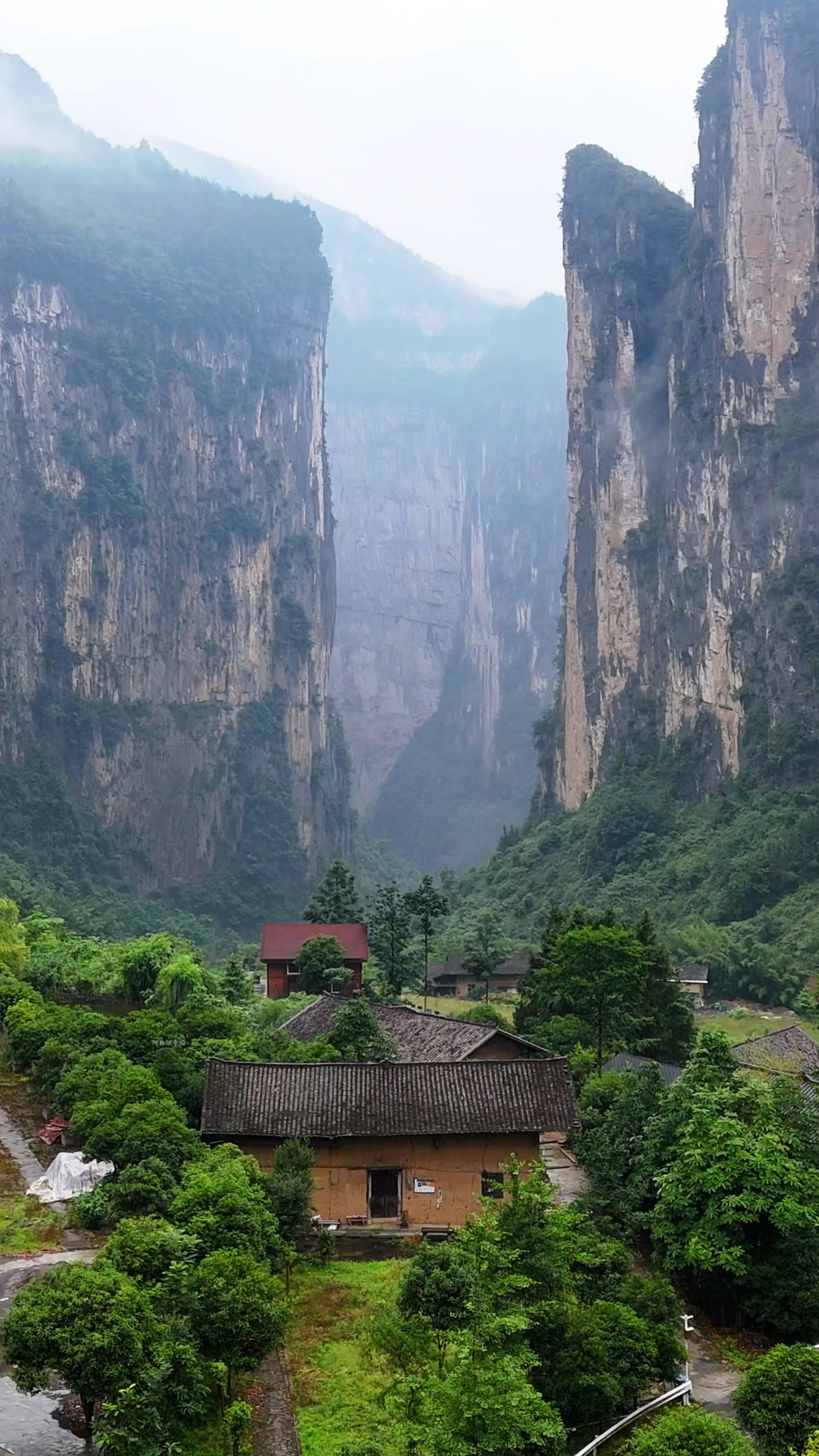 重庆大山里的世外桃源,有水有电有网络,你能在这里住多久?