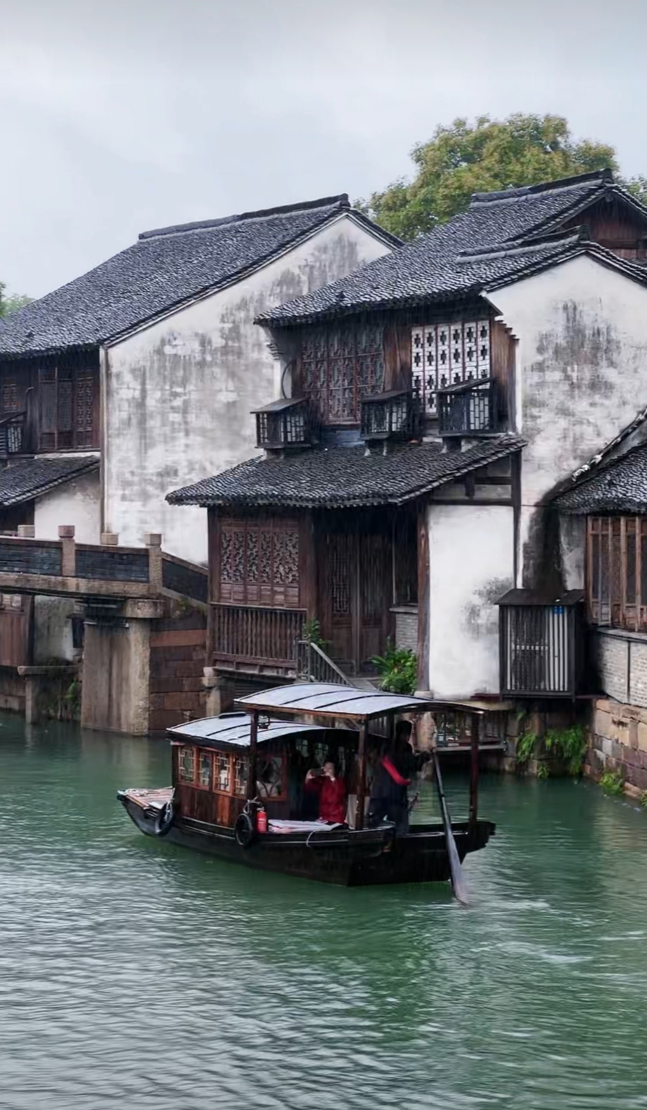 冬日的限定快乐 江南水乡冬日景色依旧尤其是细雨蒙蒙中