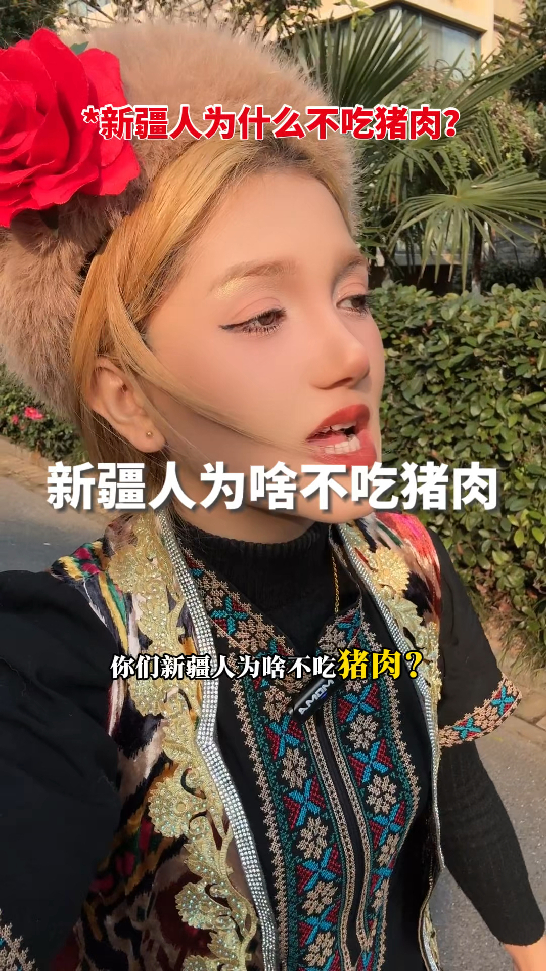 为什么清真不吃猪肉