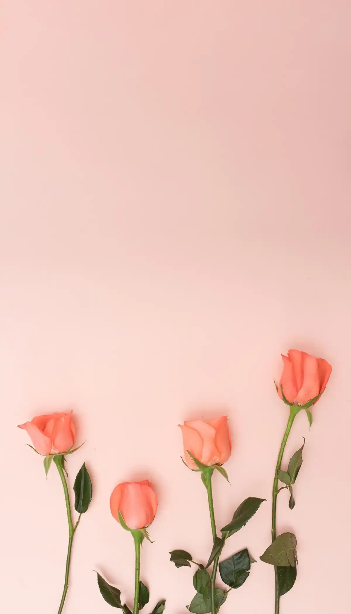 12句简简单单的文案,句句入心,句句用心