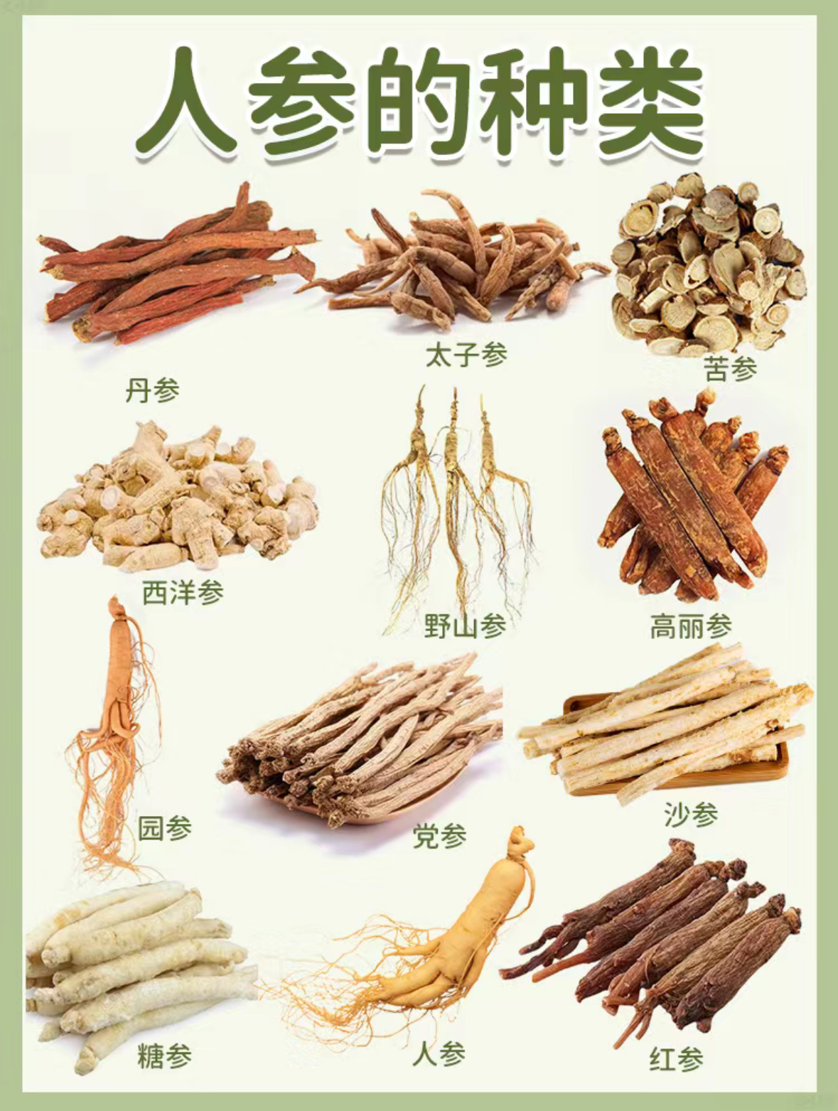 12种参功能不同,弄懂再买!