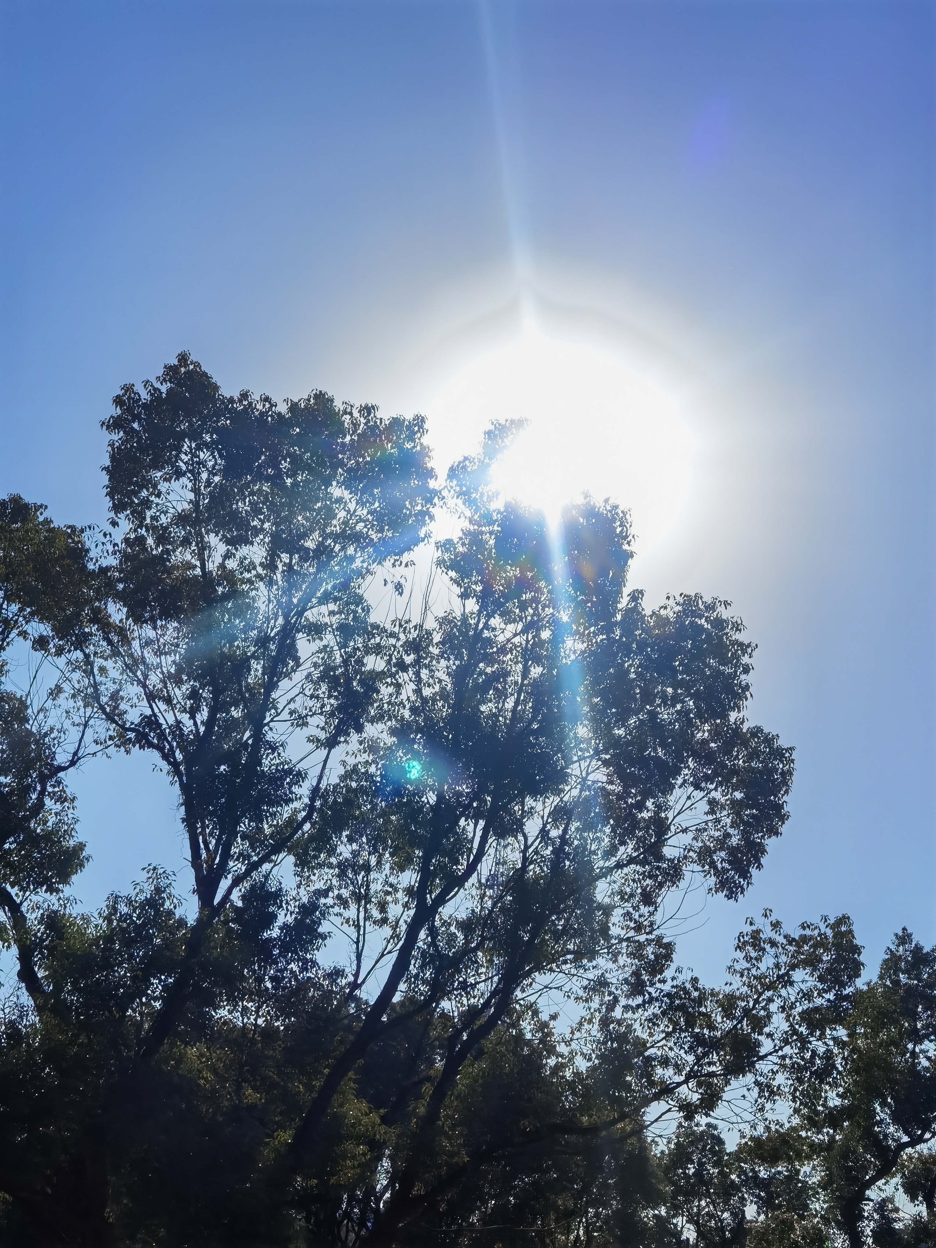 艳阳高照的冬日,临黄庭坚《诸上座帖》