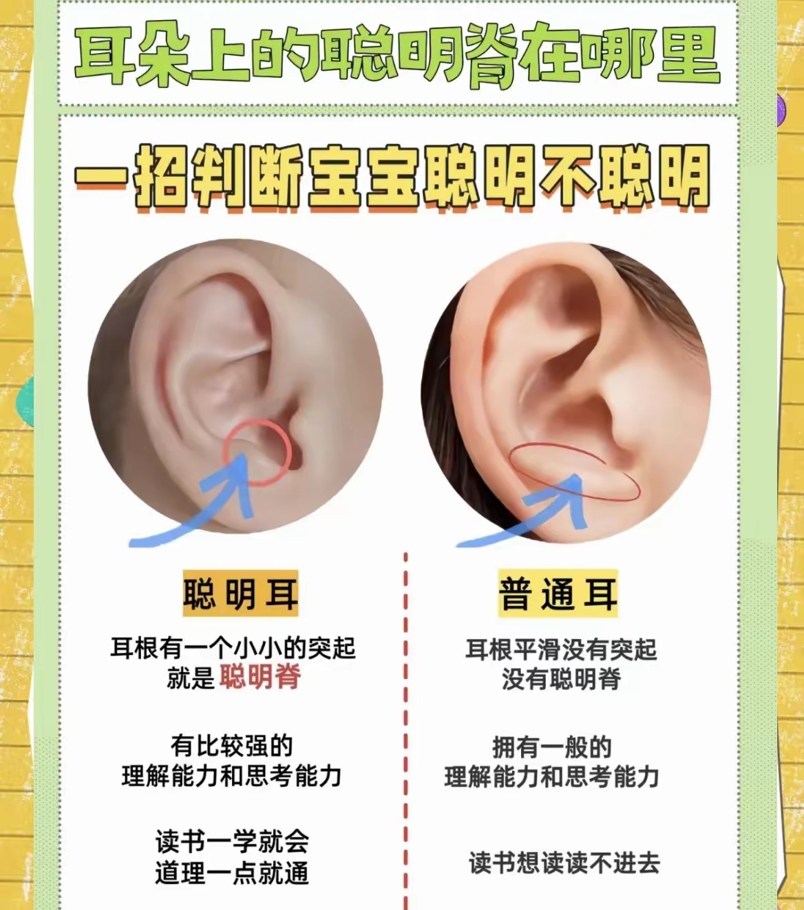 1科学研究表明聪明脊的高度与智力水平之间存在一定的关联