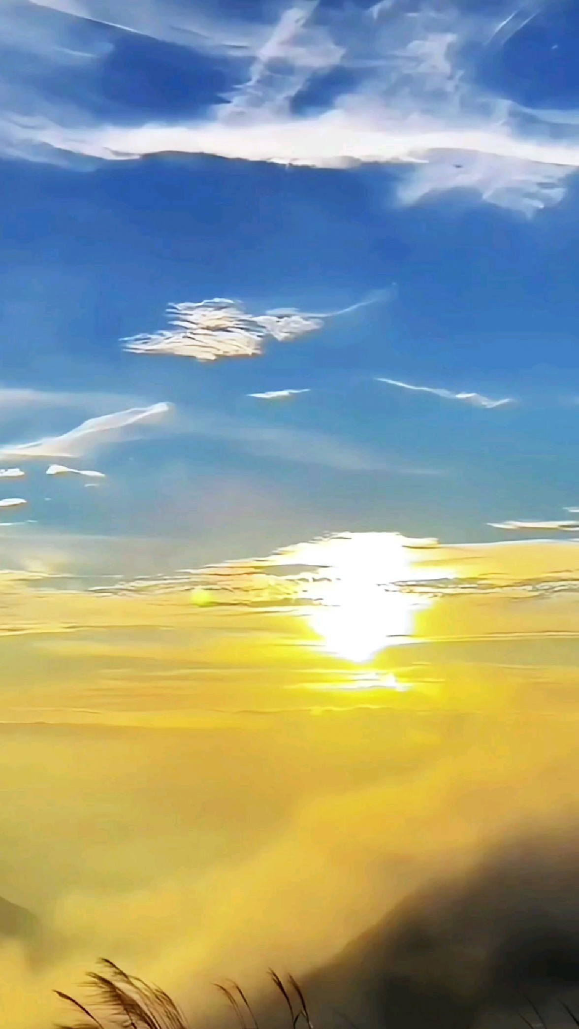 大南山巅景色新 金云翻涌似海深 日出东方红胜火 光芒万丈映天心