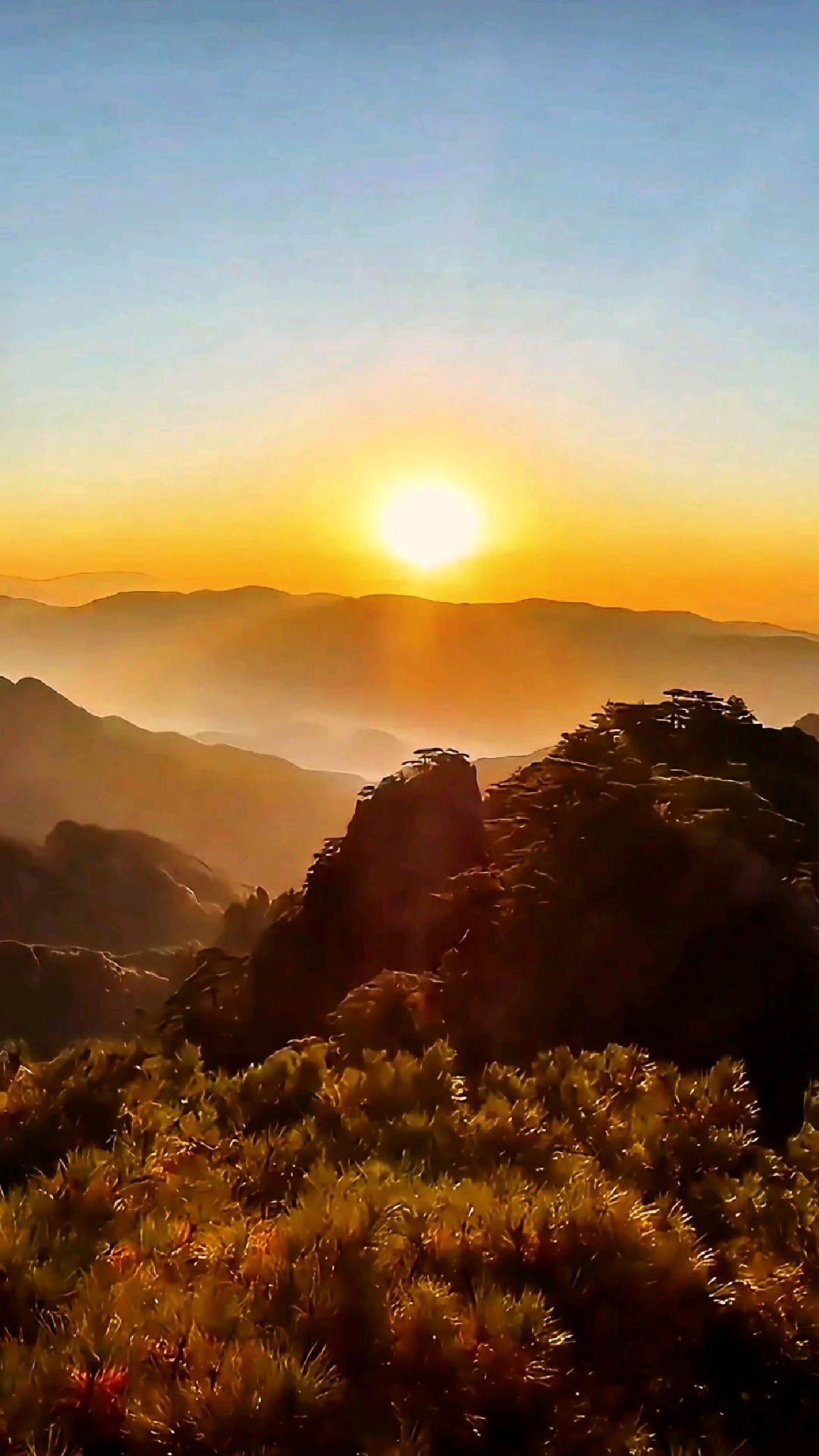 朝阳初升映山巅 金色辉煌满目间 云海翻腾迎晓日 人间仙境在其间