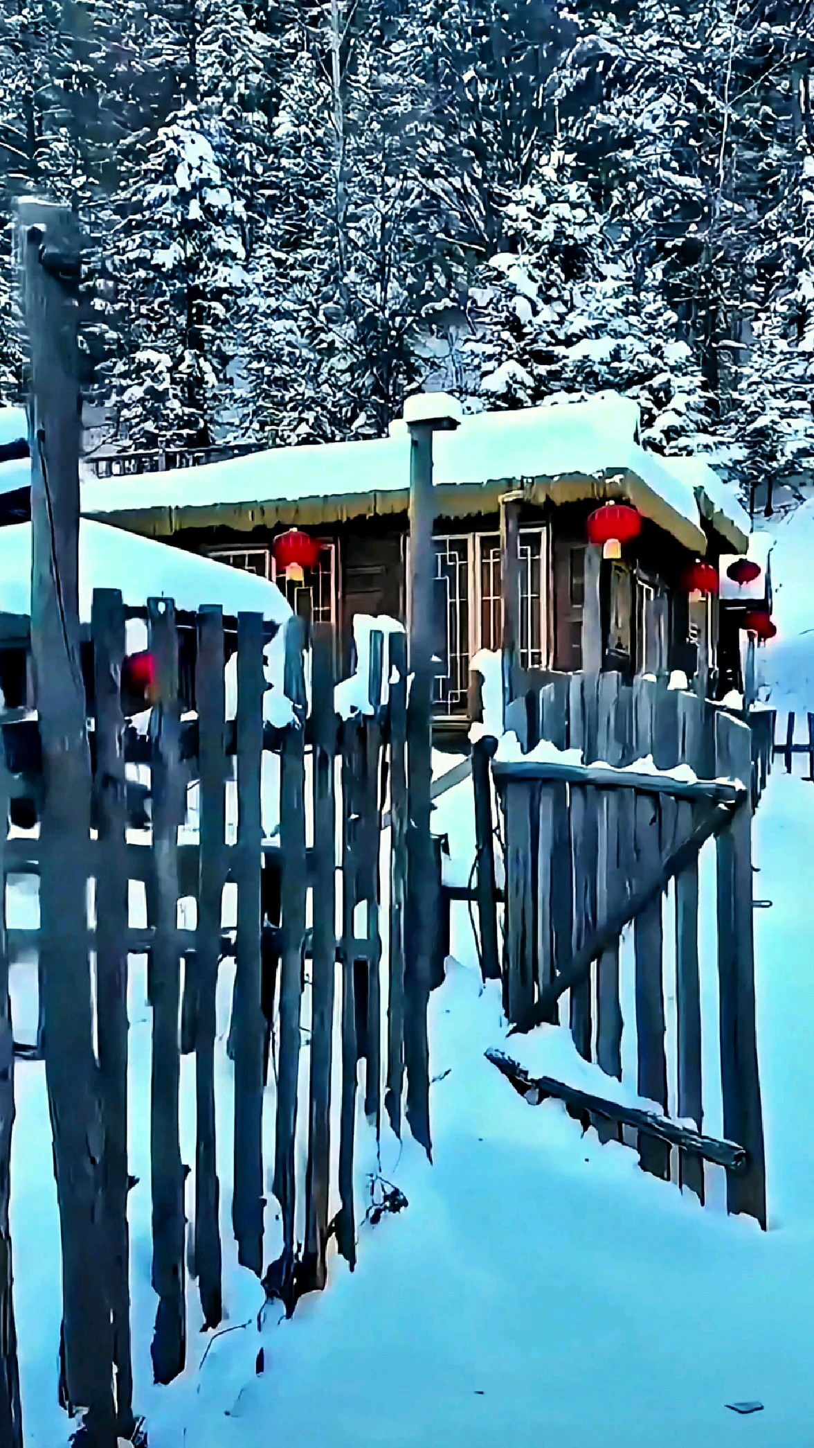 篱笆木栅映银装 雪覆农家小院香 素裹山川添静谧 和谐宁静韵悠长