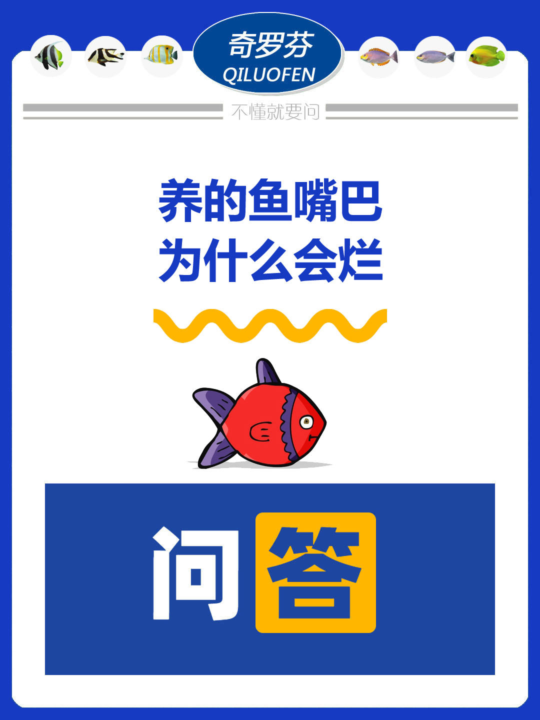 为什么烂嘴