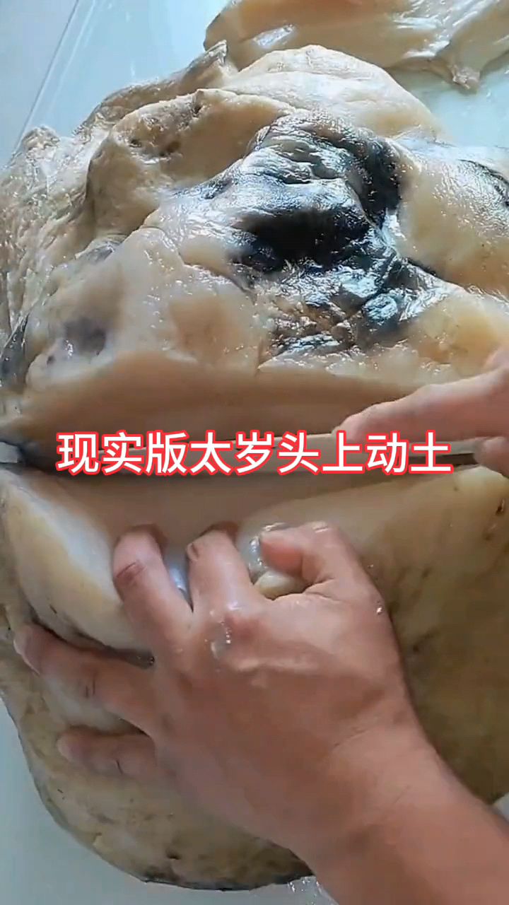 太岁头上动土的具象化!网友:提到太岁,就不得不提清纯小记者了