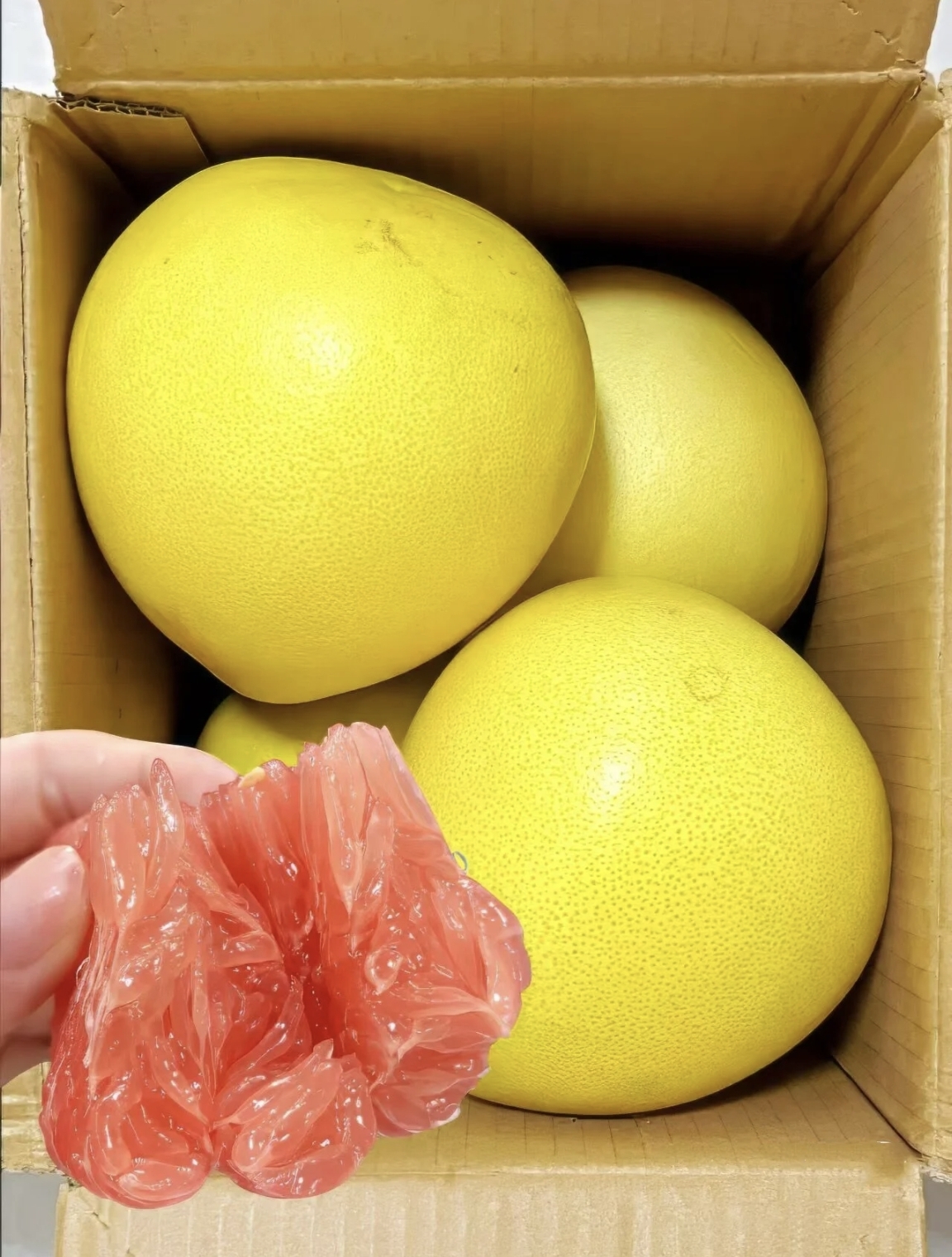 入秋了,也是柚子成熟的季节,福建省漳州市平和县琯溪镇的红肉蜜柚