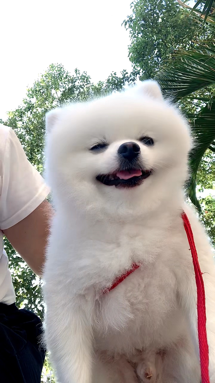 瞧这一脸陶醉的表情,如醉痴迷的地步